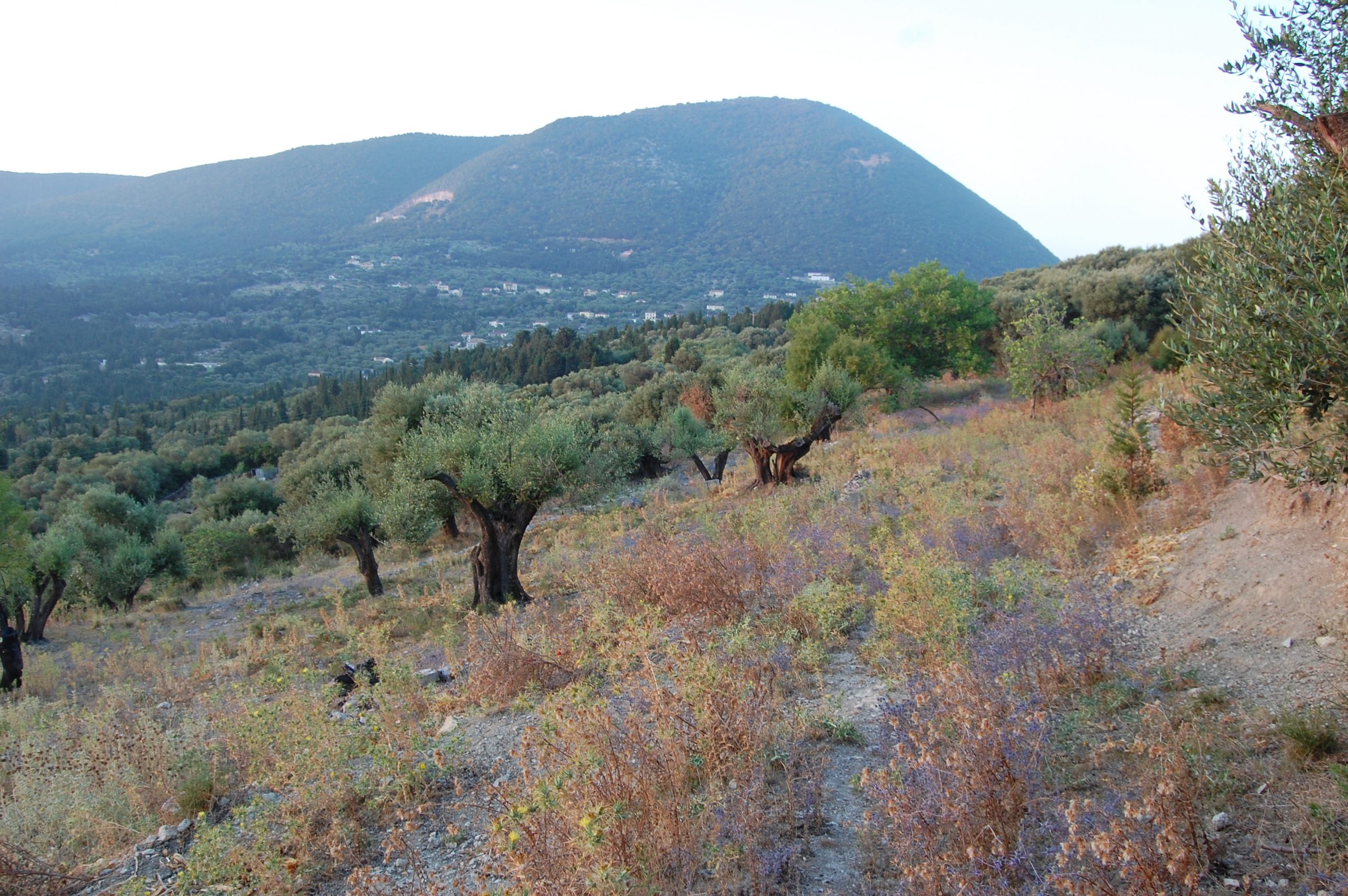 Landscape terrain of land for sale Ithaca Greece, Pilikata
