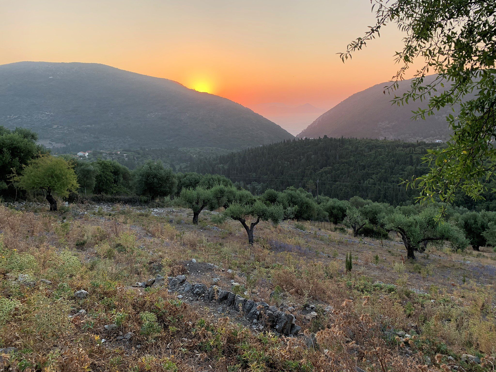 Landscape terrain of land for sale Ithaca Greece, Pilikata