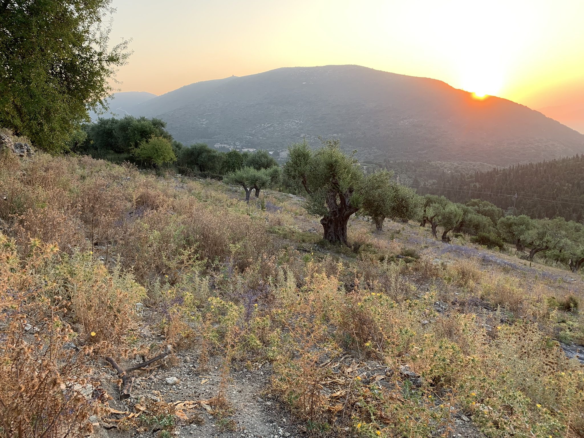 Landscape terrain of land for sale Ithaca Greece, Pilikata