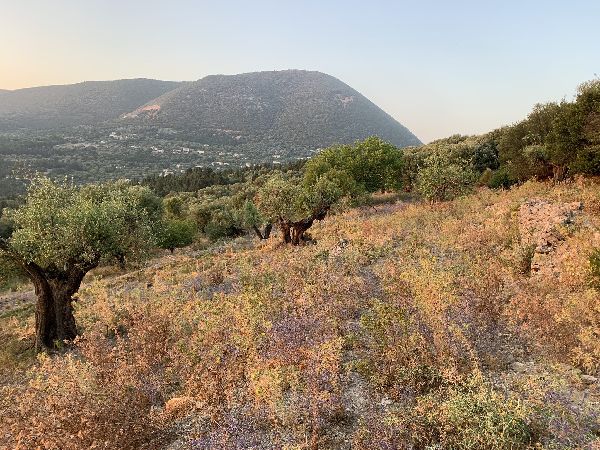 Landscape terrain of land for sale Ithaca Greece, Pilikata