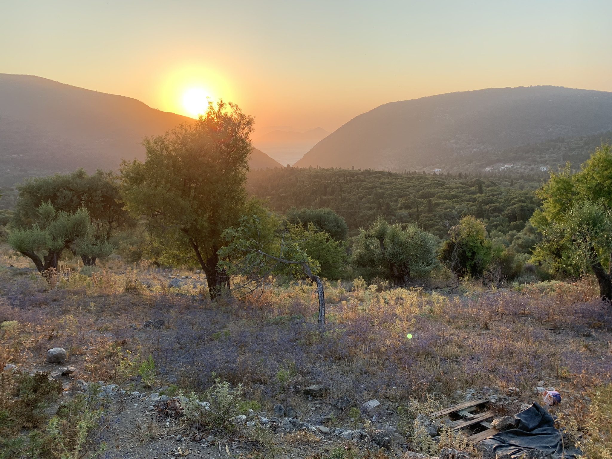 Landscape terrain of land for sale Ithaca Greece, Pilikata