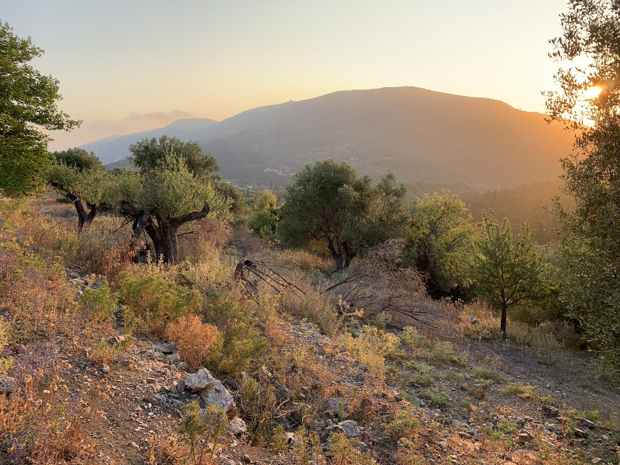 Landscape terrain of land for sale Ithaca Greece, Pilikata