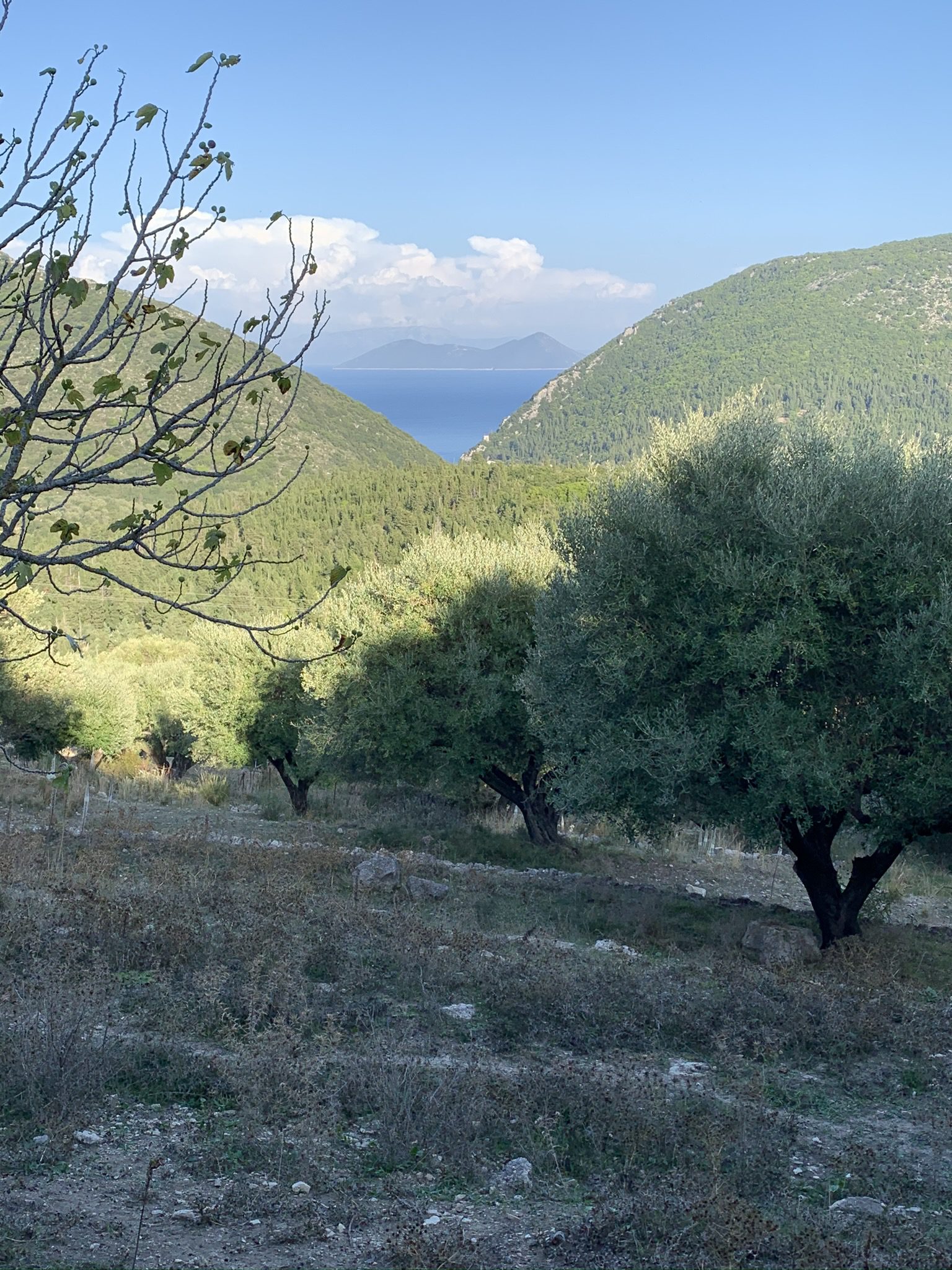 Landscape terrain of land for sale Ithaca Greece, Pilikata