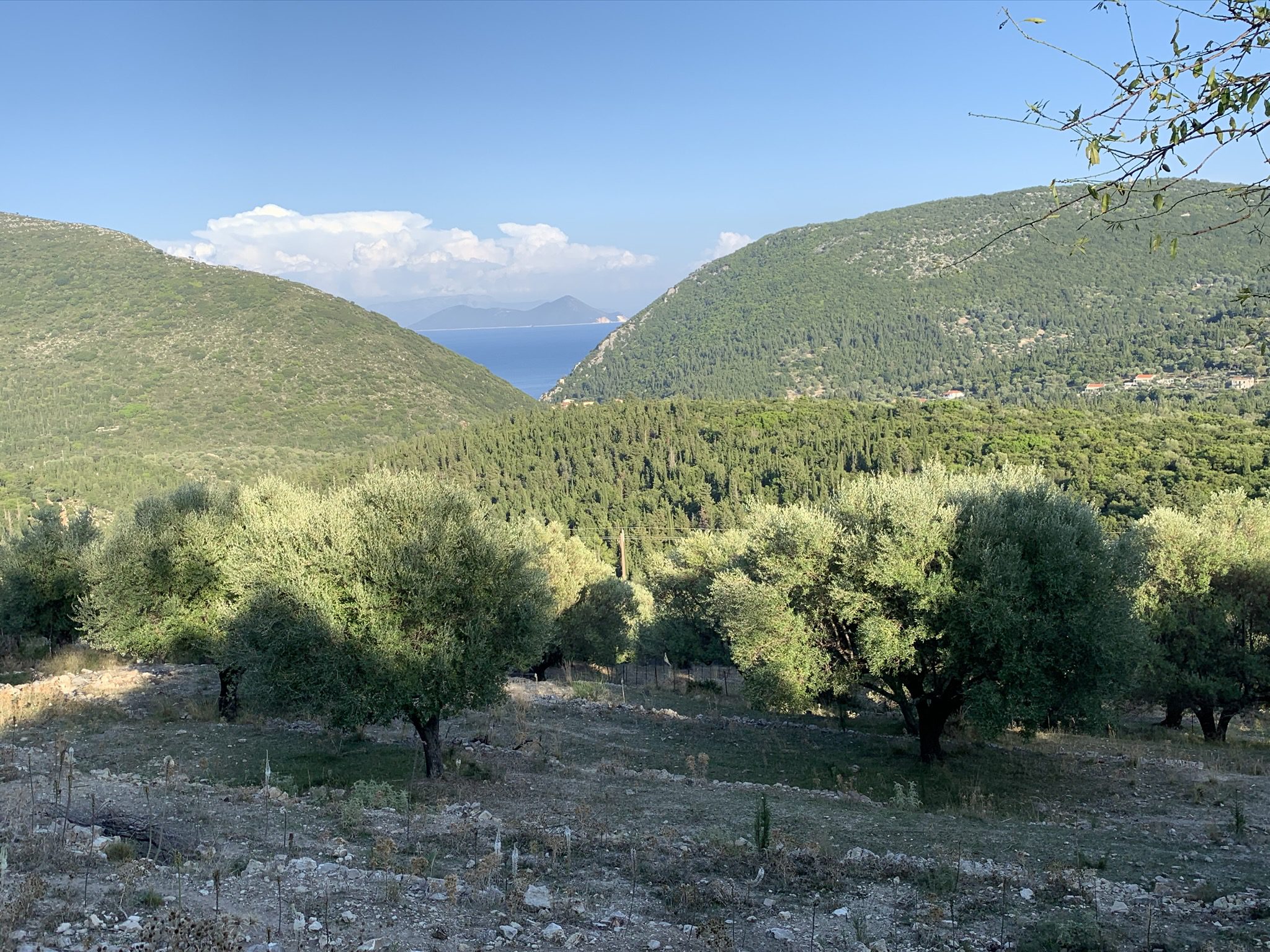 Landscape terrain of land for sale Ithaca Greece, Pilikata