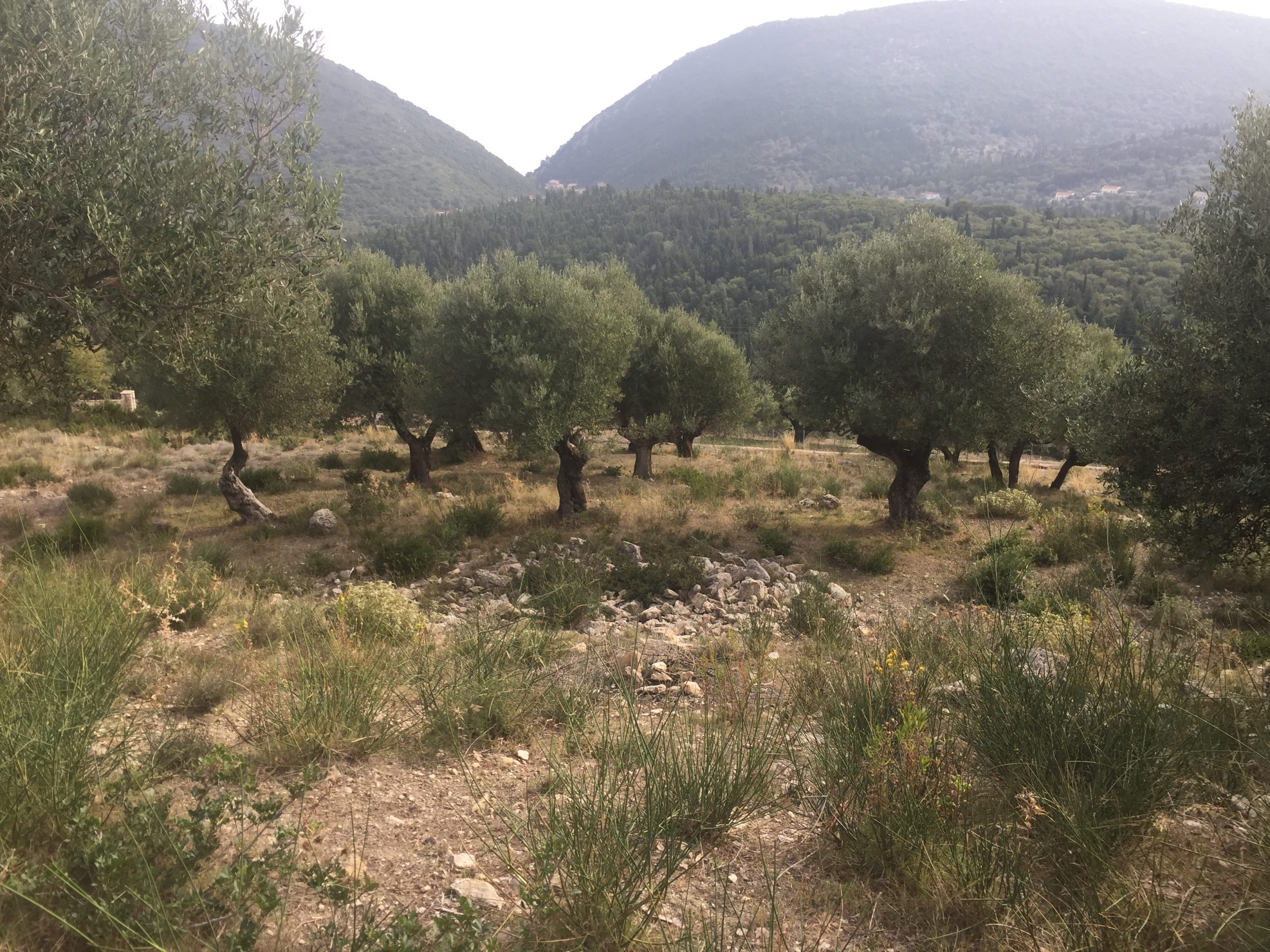 Landscape terrain of land for sale Ithaca Greece, Pilikata