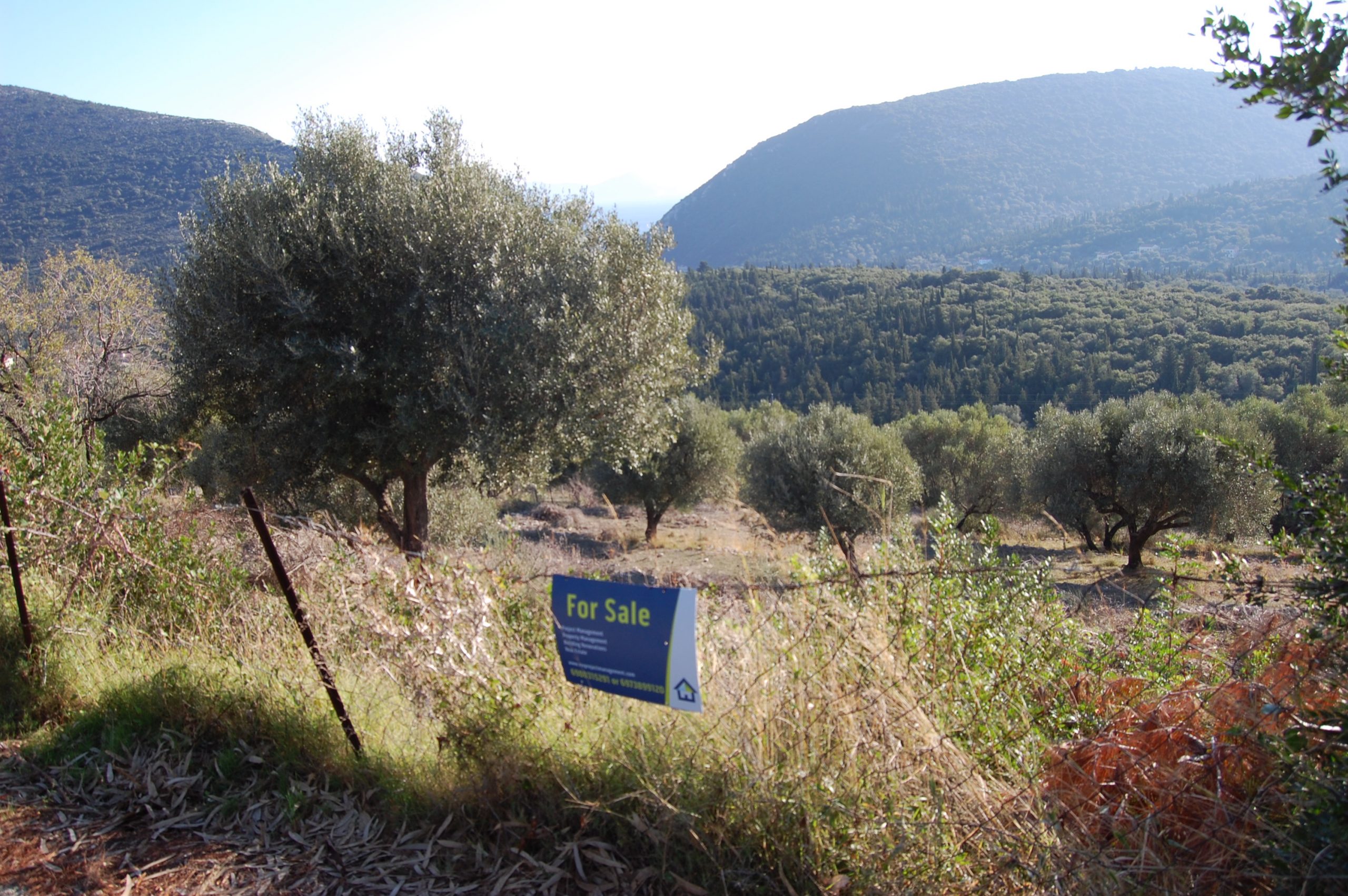 Landscape terrain of land for sale Ithaca Greece, Pilikata