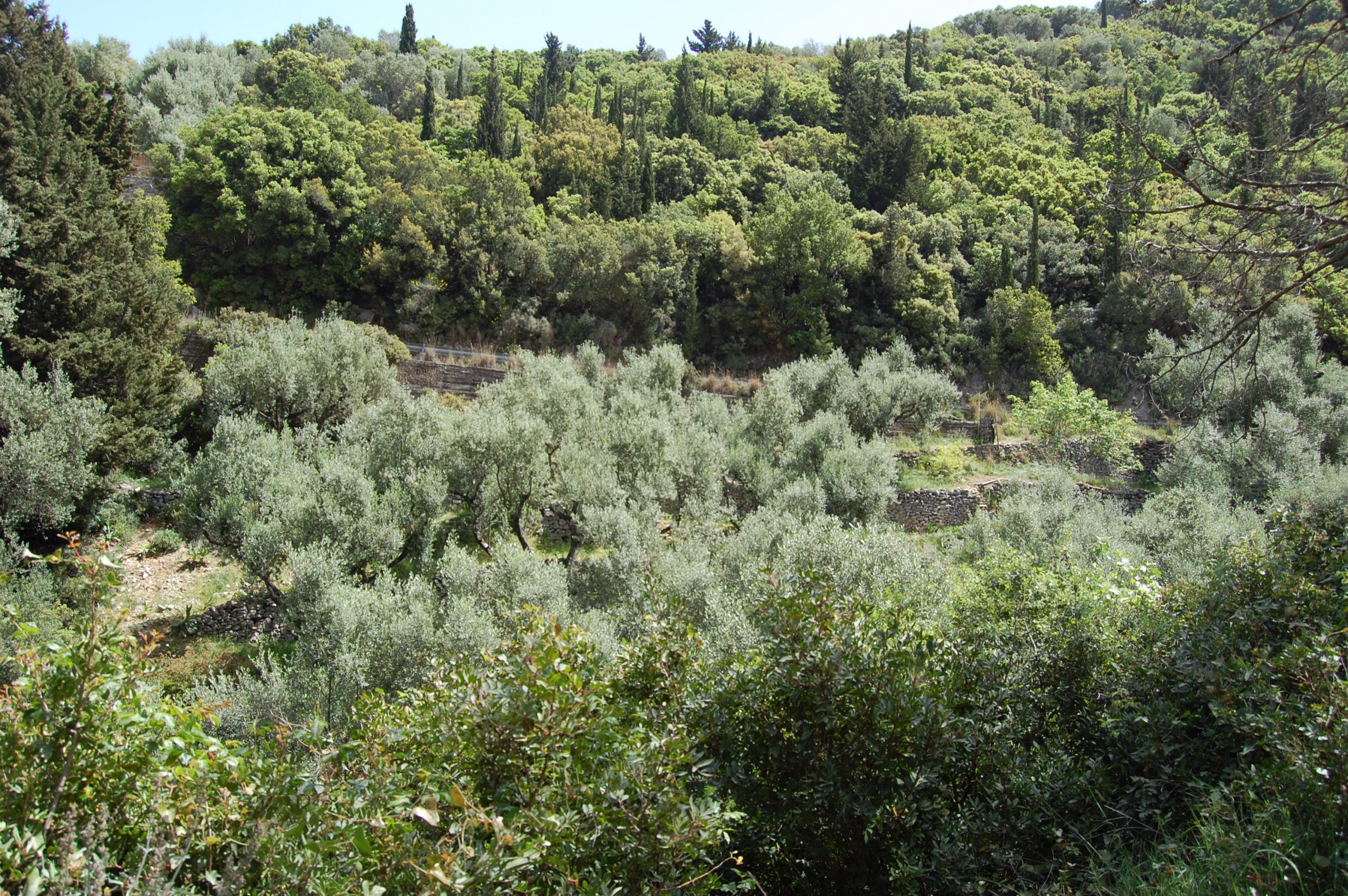 Landscape and terrain of land for sale on Ithaca Greece