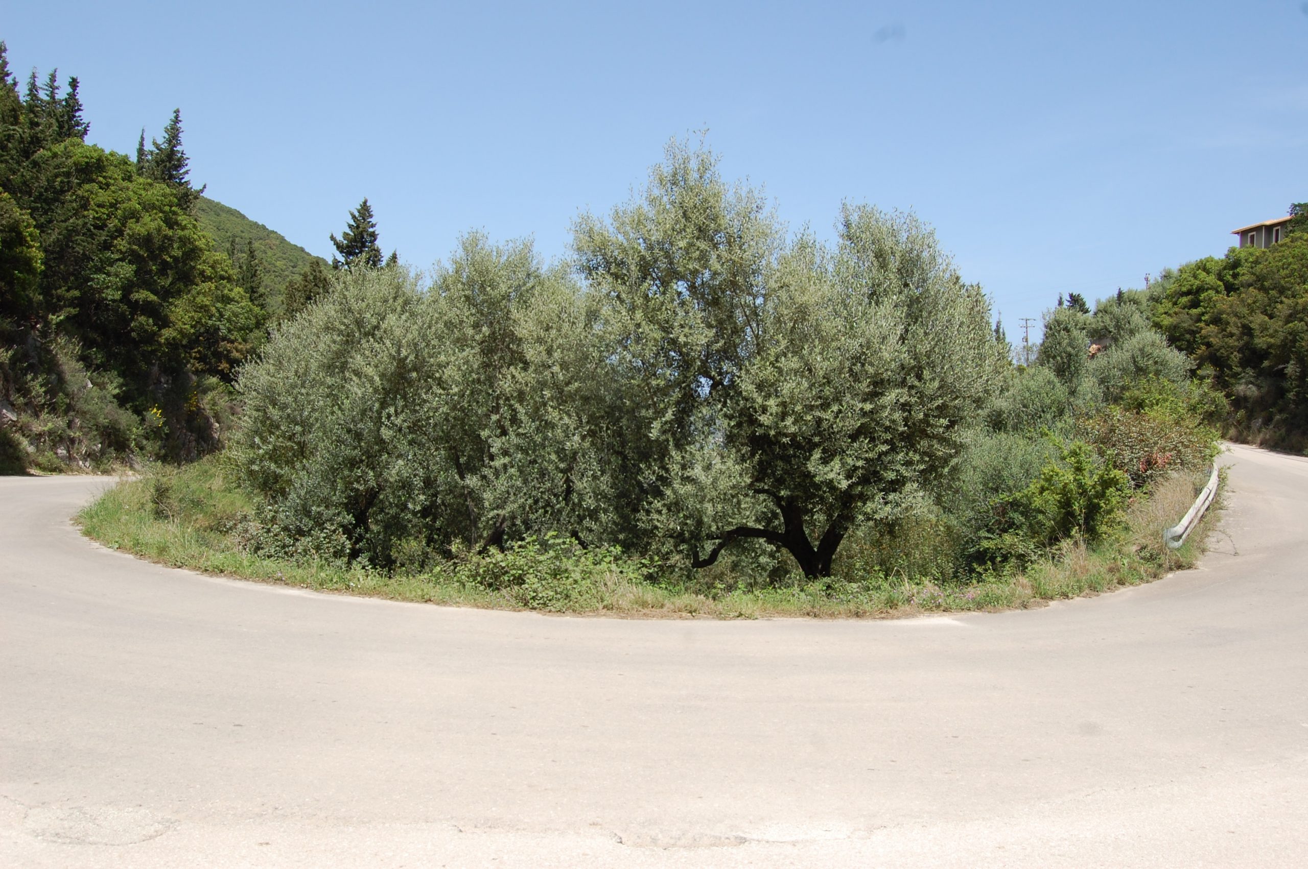 Landscape and terrain of land for sale on Ithaca Greece