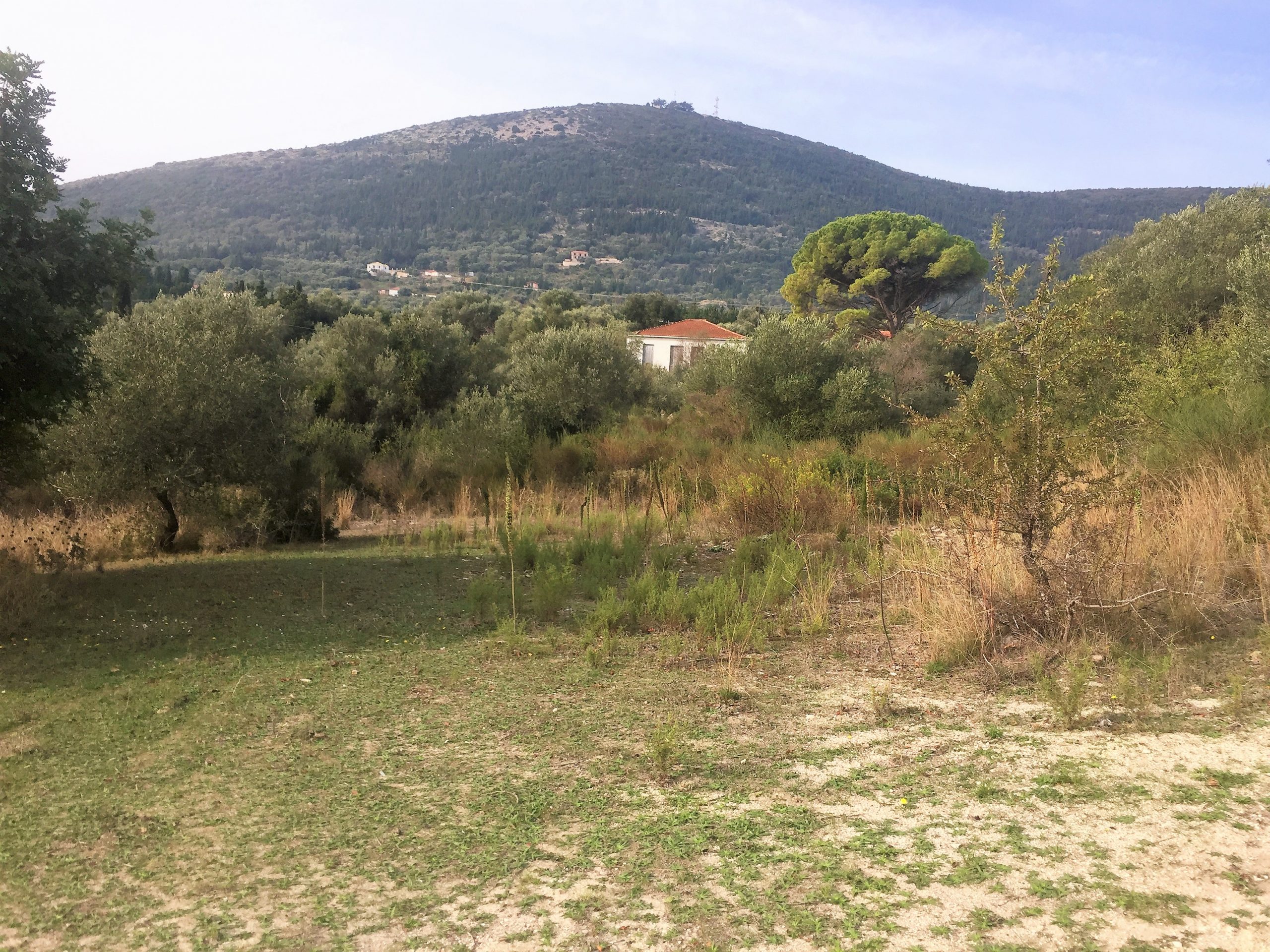 Landscape terrain of land for sale Ithaca Greece Lahos