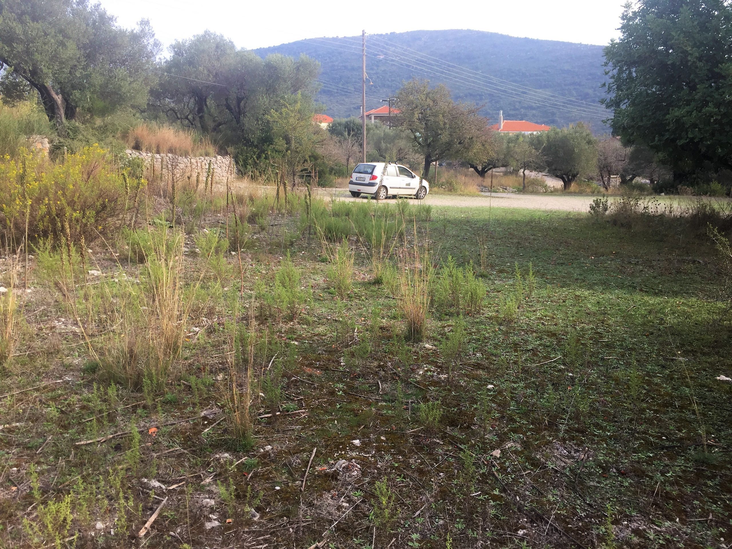 Landscape terrain of land for sale Ithaca Greece Lahos