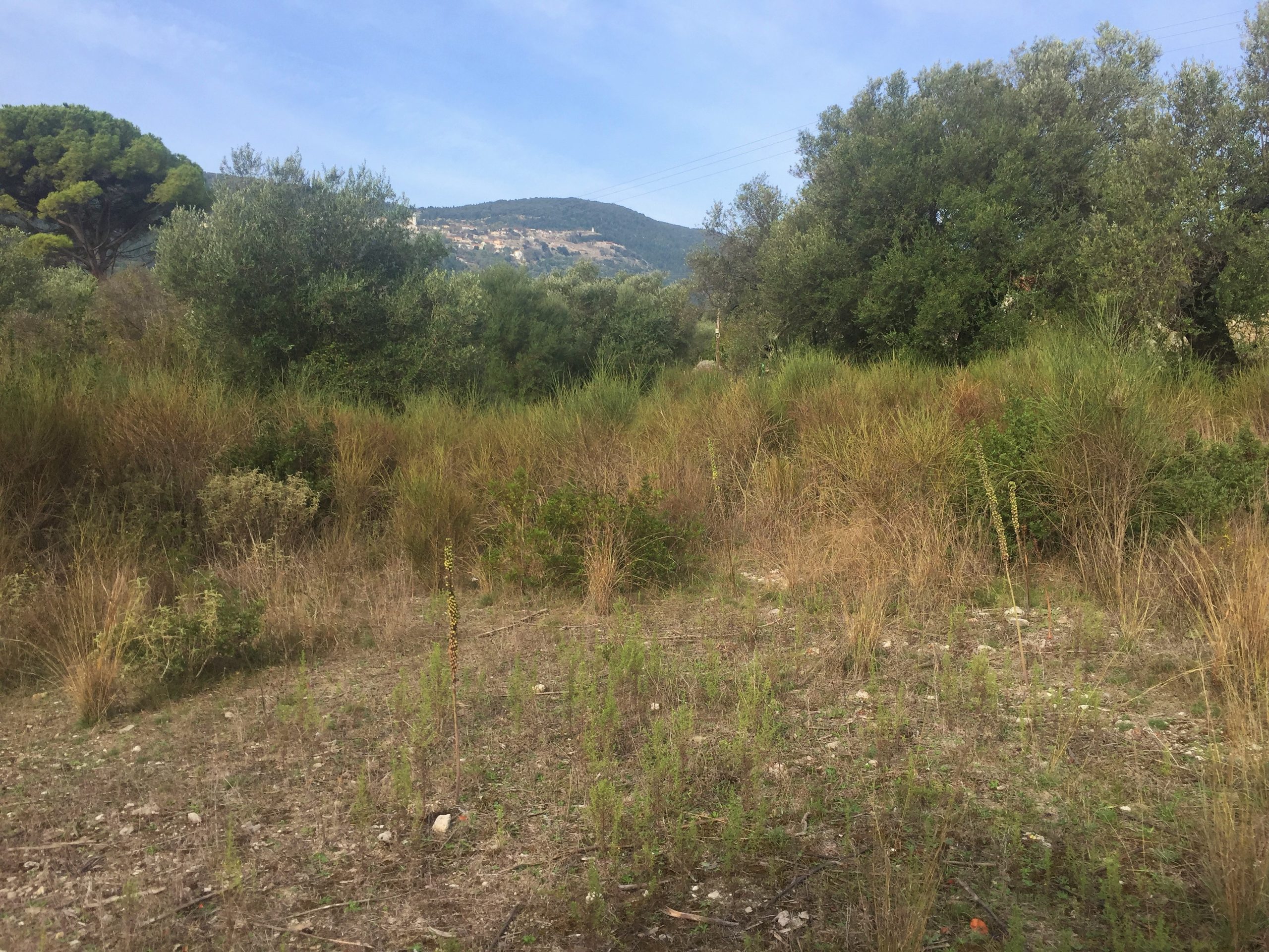 Landscape terrain of land for sale Ithaca Greece Lahos