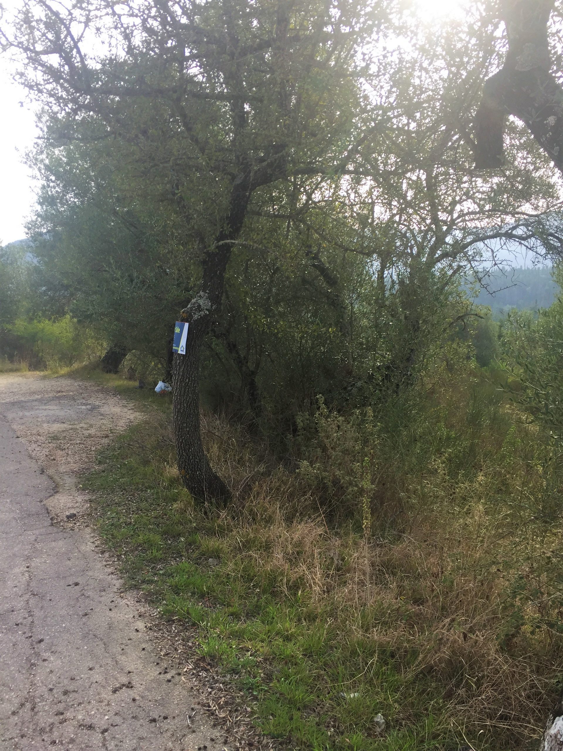 Landscape view of property for sale in Ithaca Greece Lahos