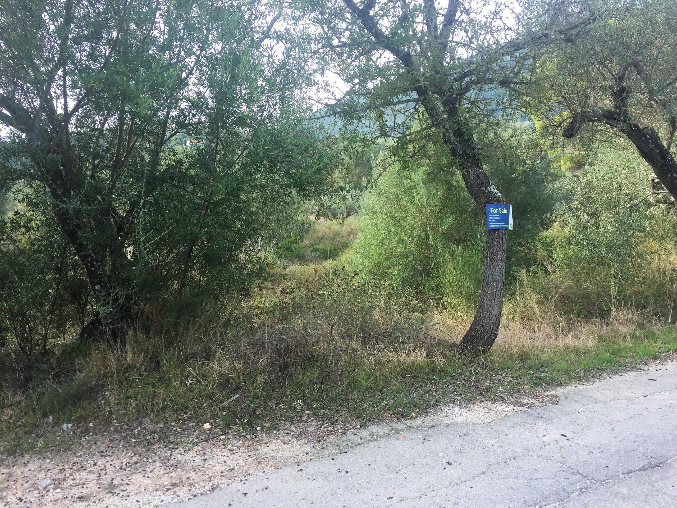Landscape terrain of land for sale Ithaca Greece Lahos
