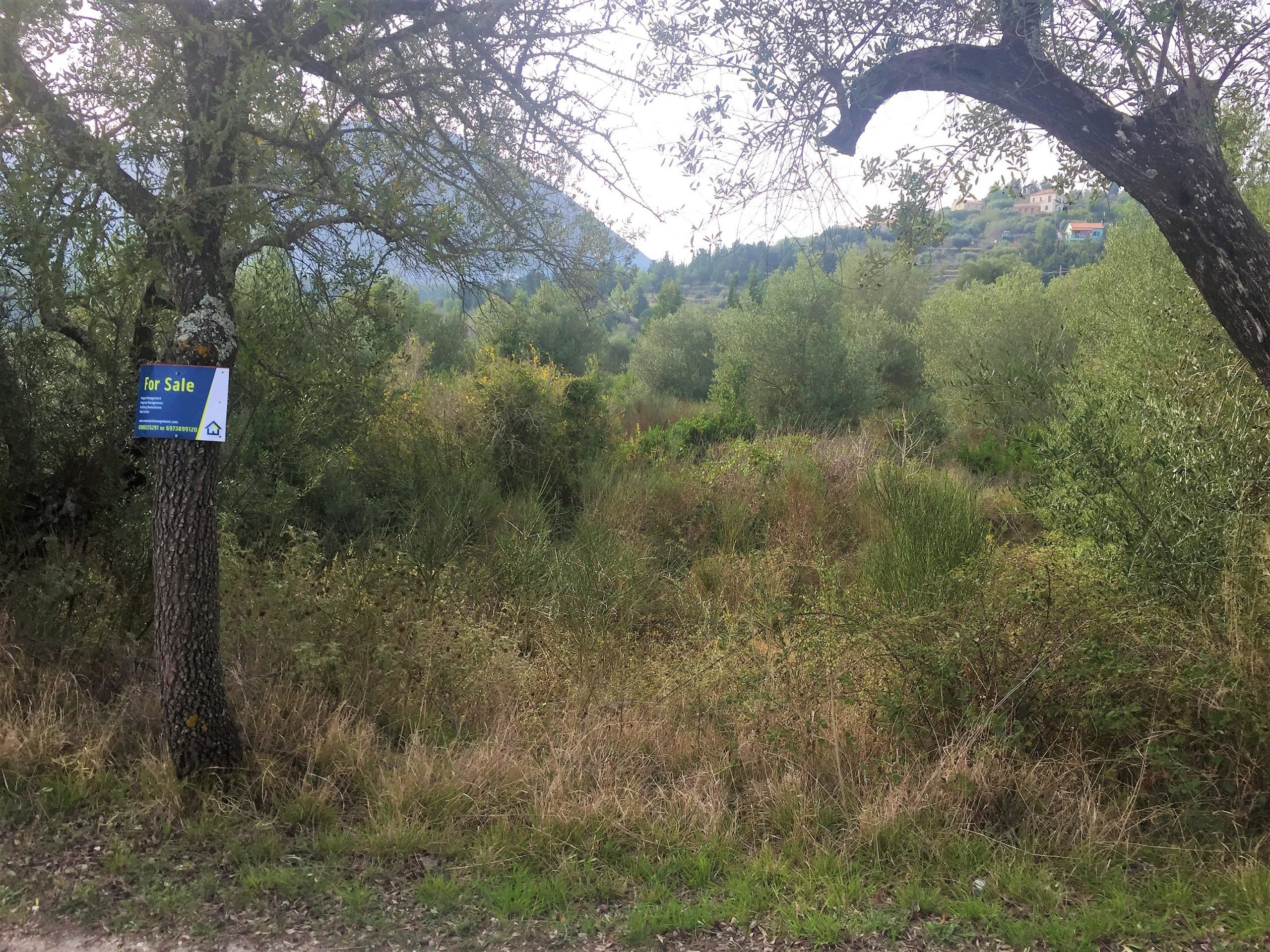 Landscape terrain of land for sale Ithaca Greece Lahos