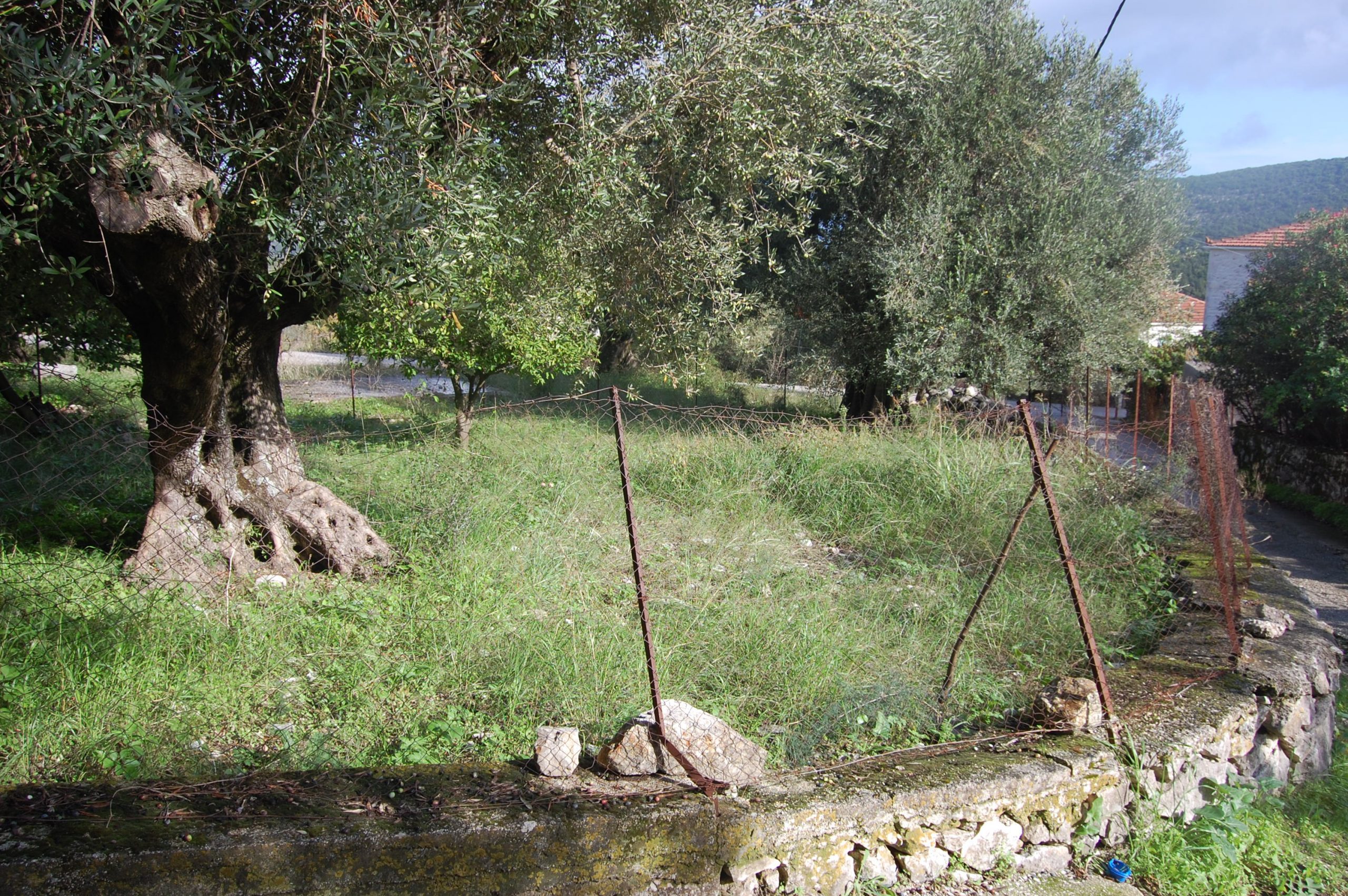 Garden of building for sale in Ithaca Greece, Stavros