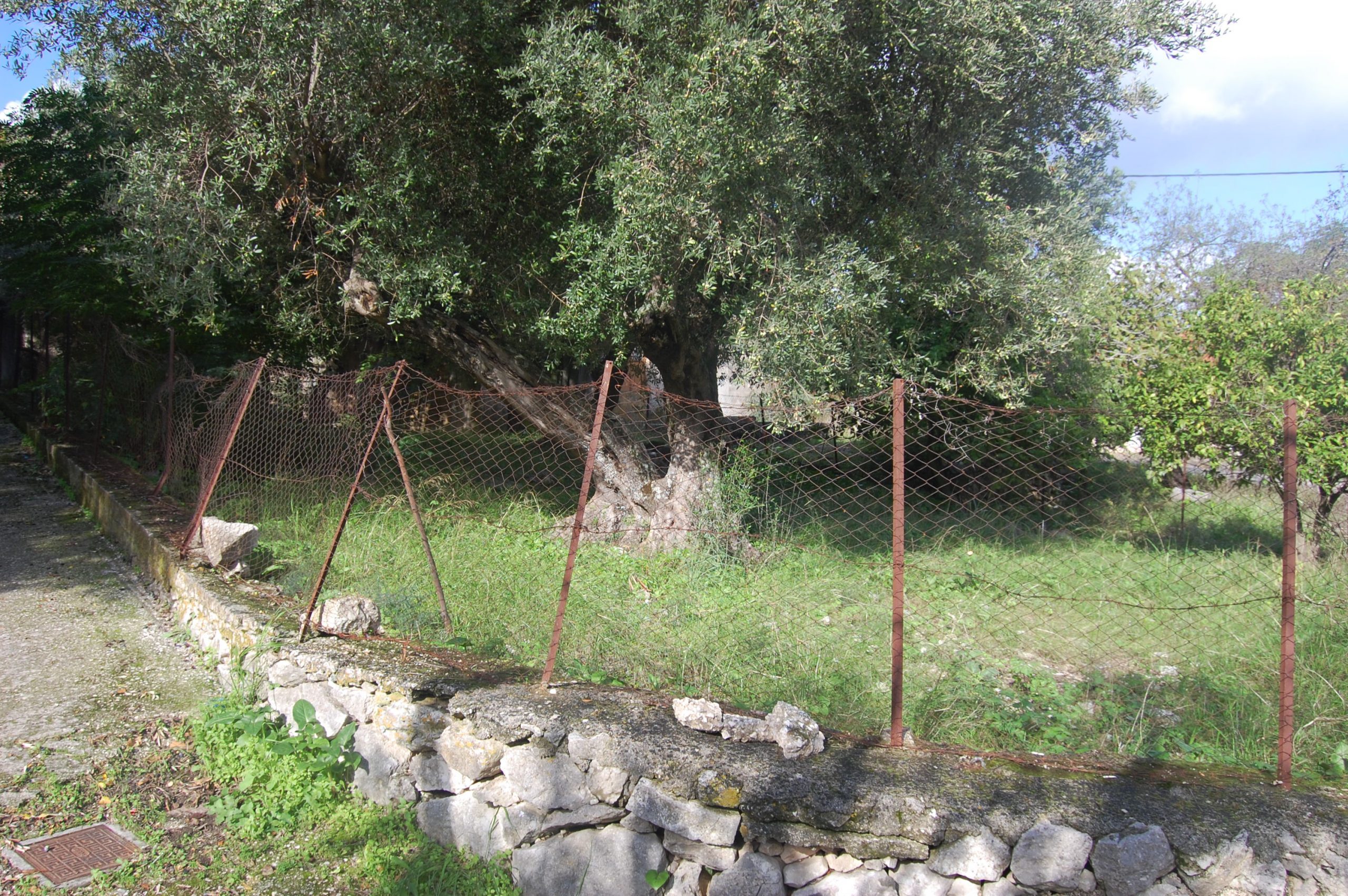 Garden of building for sale in Ithaca Greece, Stavros