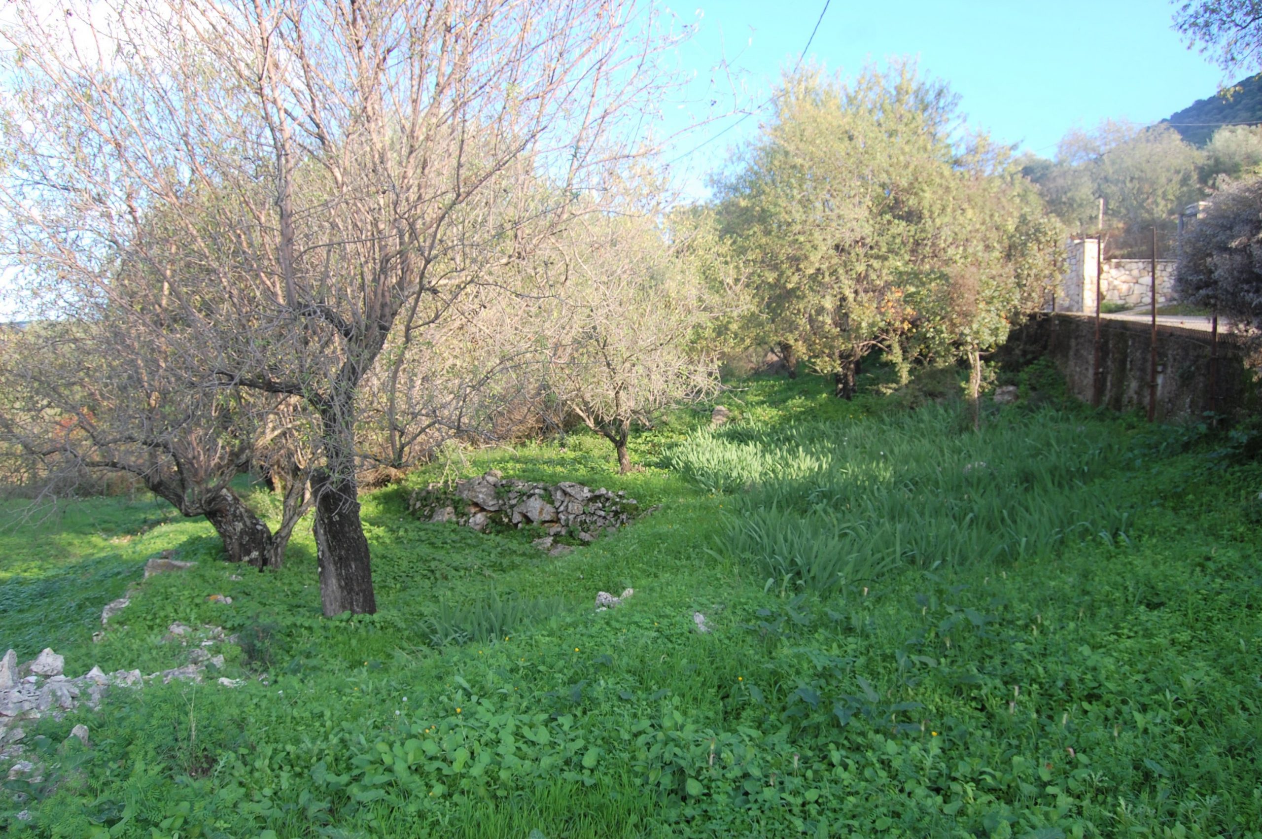 Terrain of landscape of land for sale Ithaca Greece Stavros