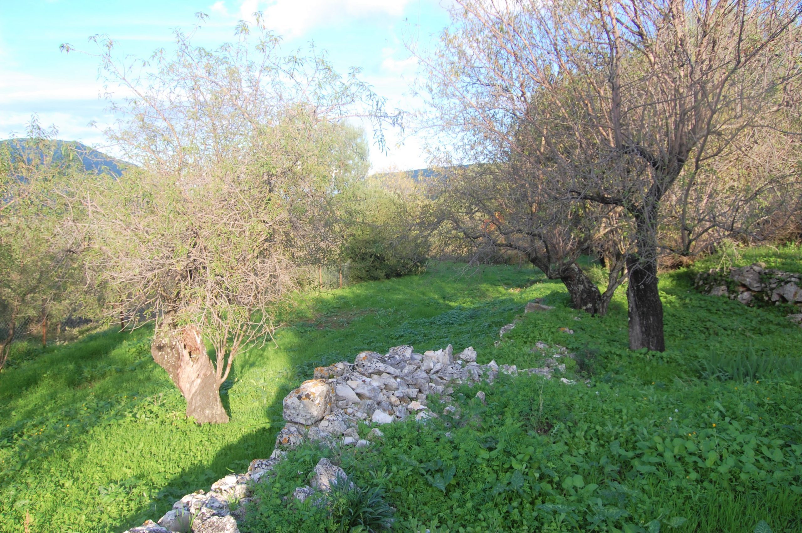 Terrain of landscape of land for sale Ithaca Greece Stavros