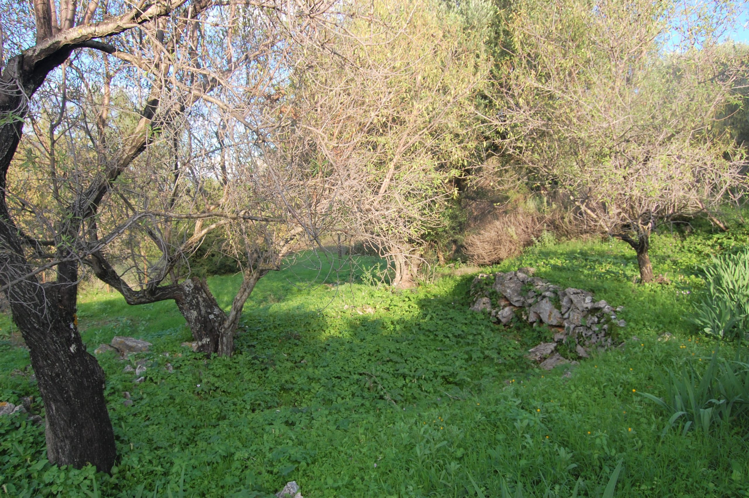 Terrain of landscape of land for sale Ithaca Greece Stavros