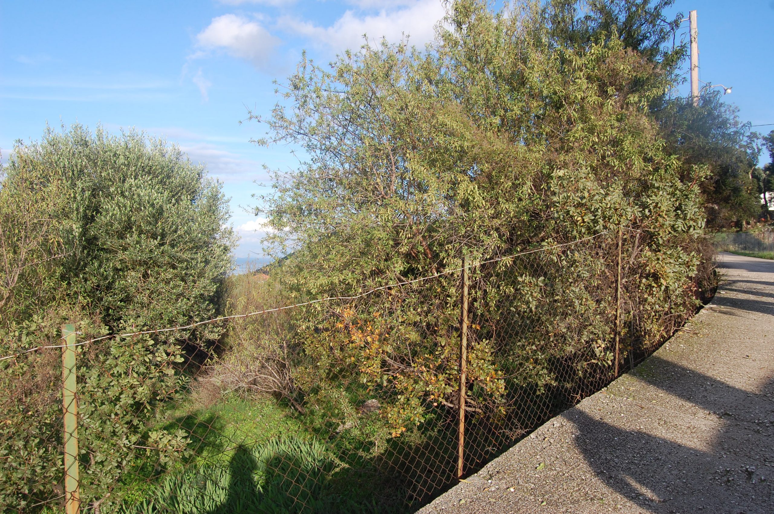Terrain of landscape of land for sale Ithaca Greece Stavros
