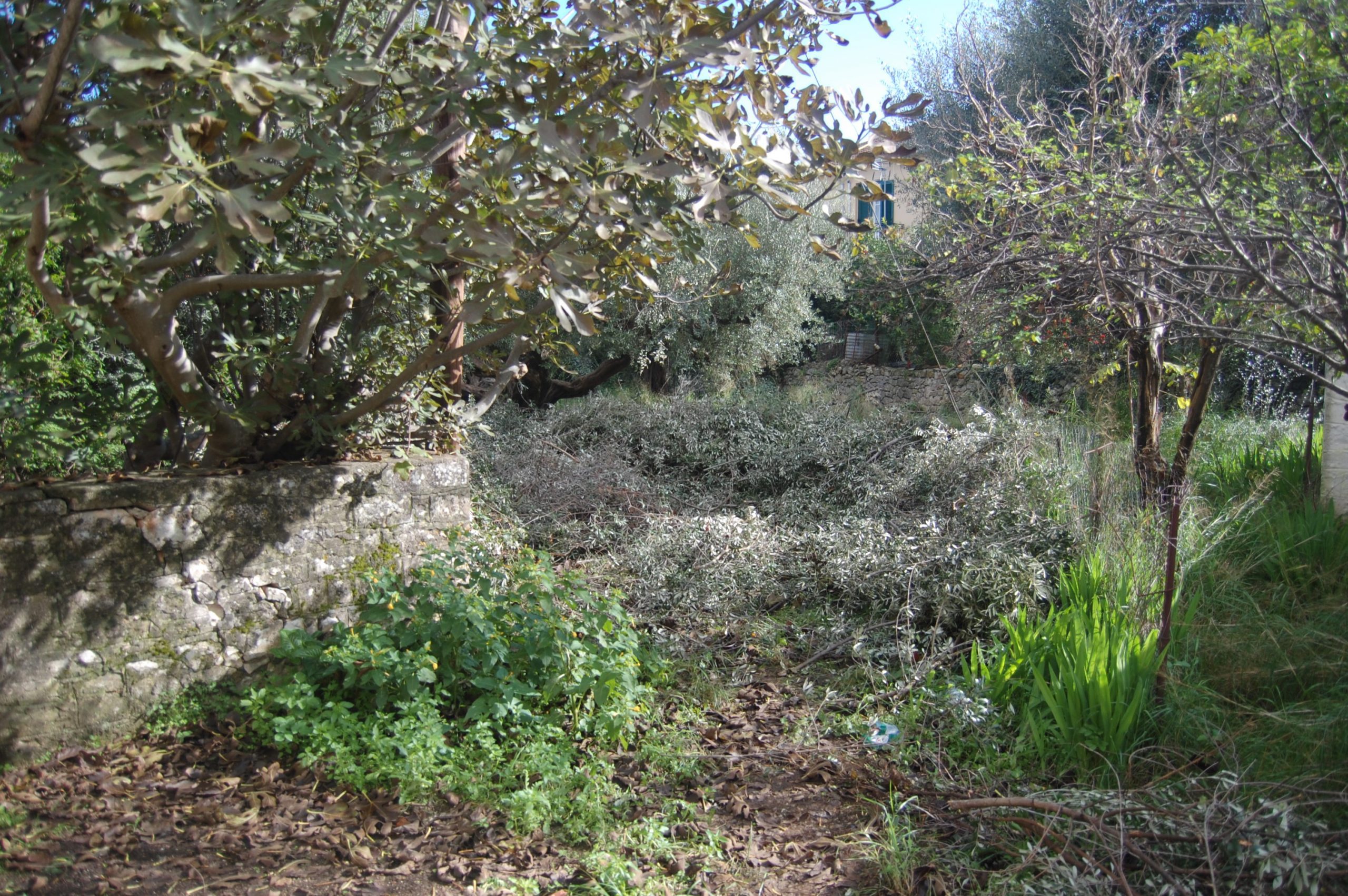 Terrain of ruin for sale in Ithaca Greece, Vathi