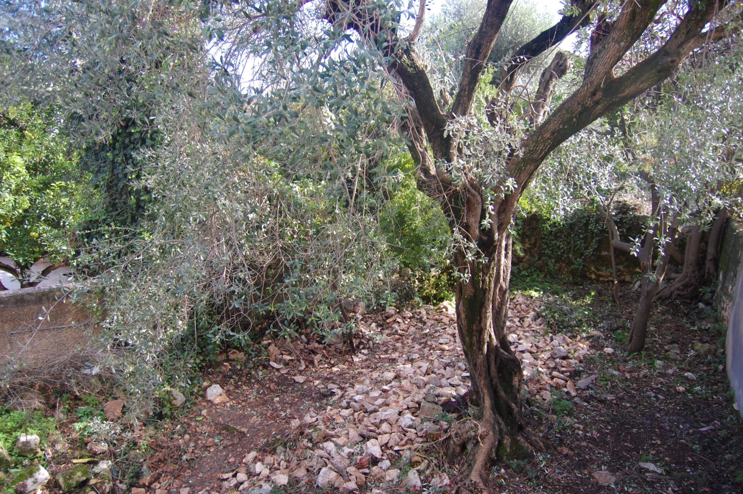 Terrain of ruin for sale in Ithaca Greece, Vathi