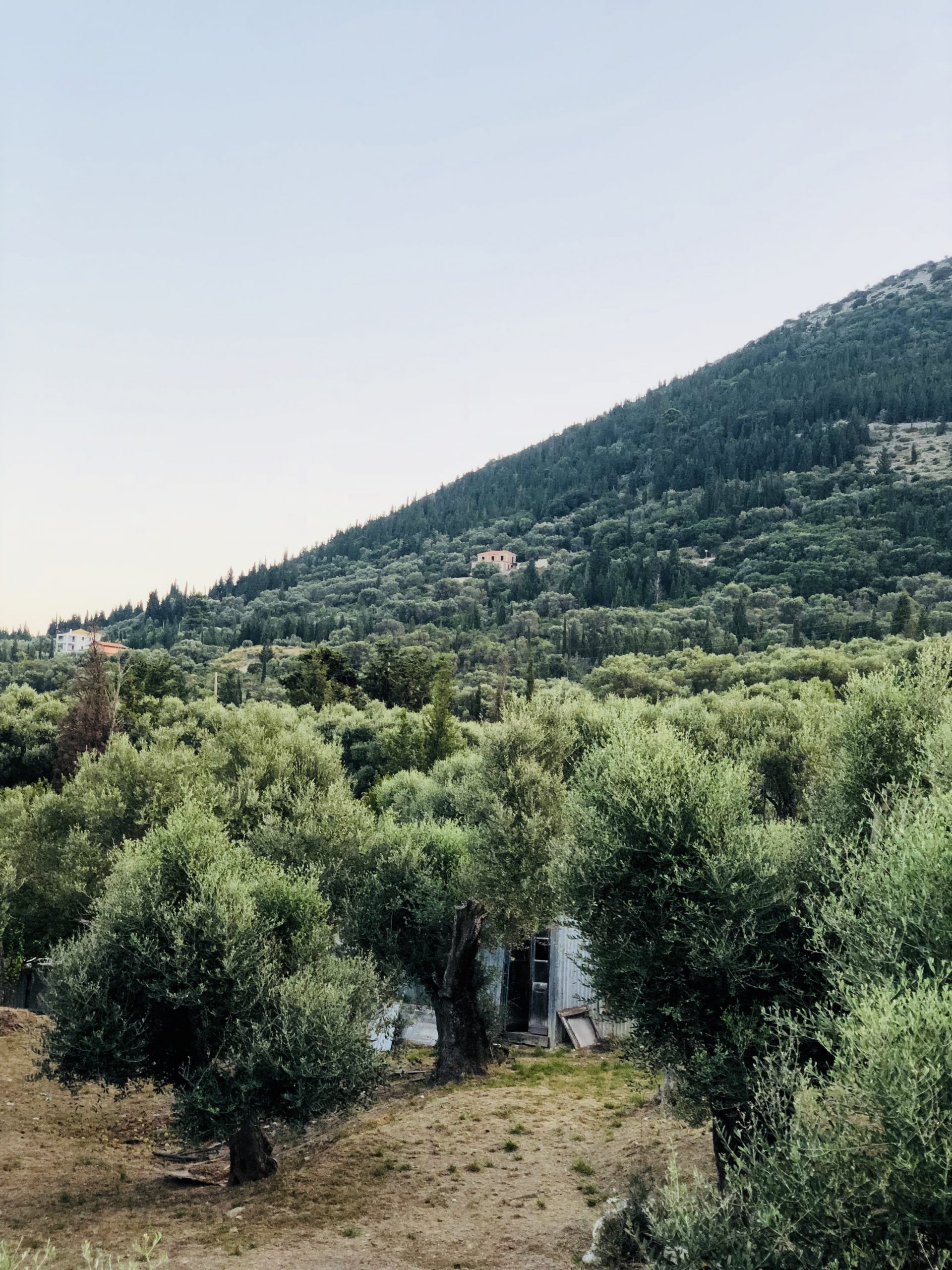 View of house for rent Ithaca Greece, Kolleri