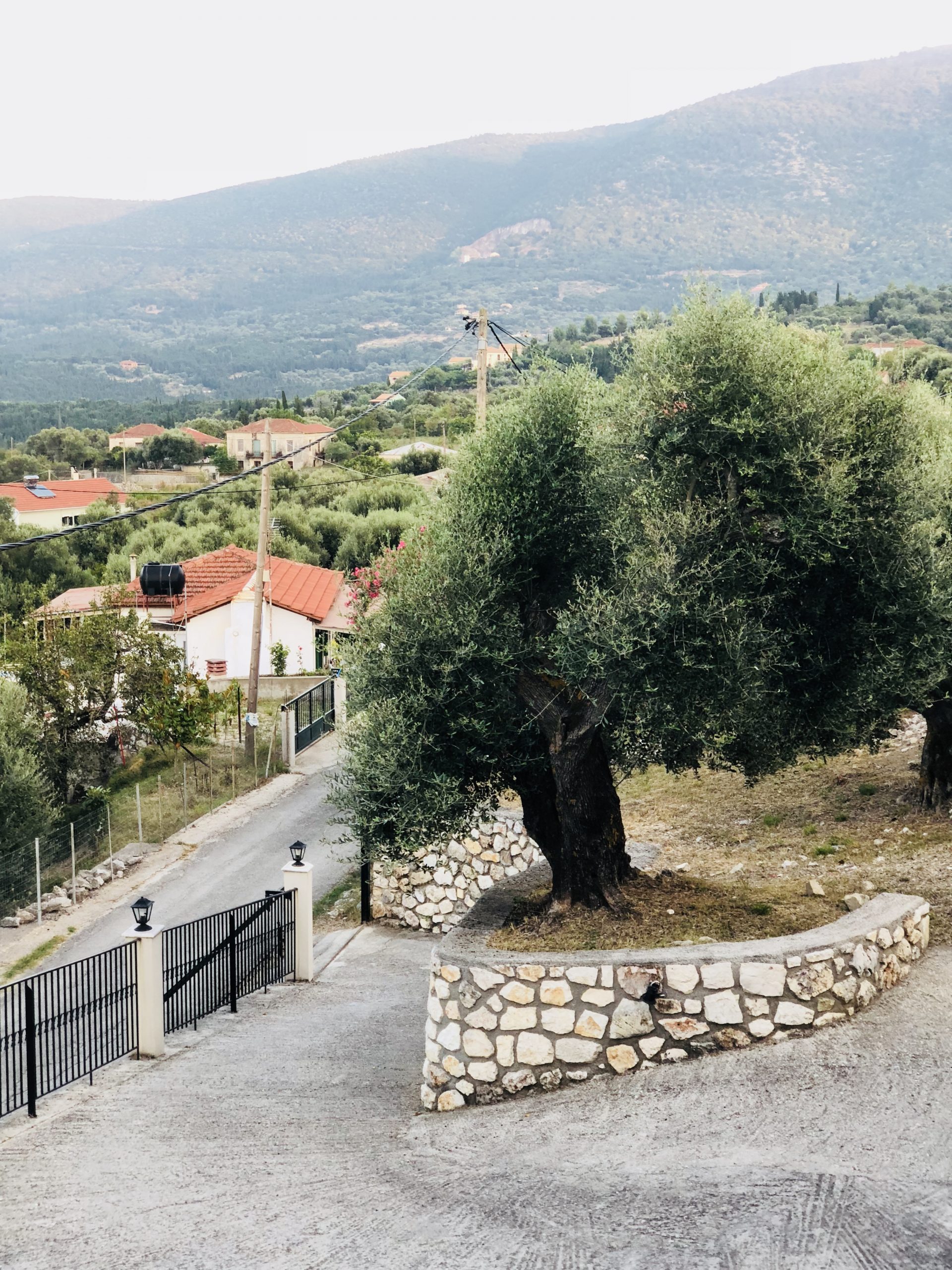View of house for rent Ithaca Greece, Kolleri