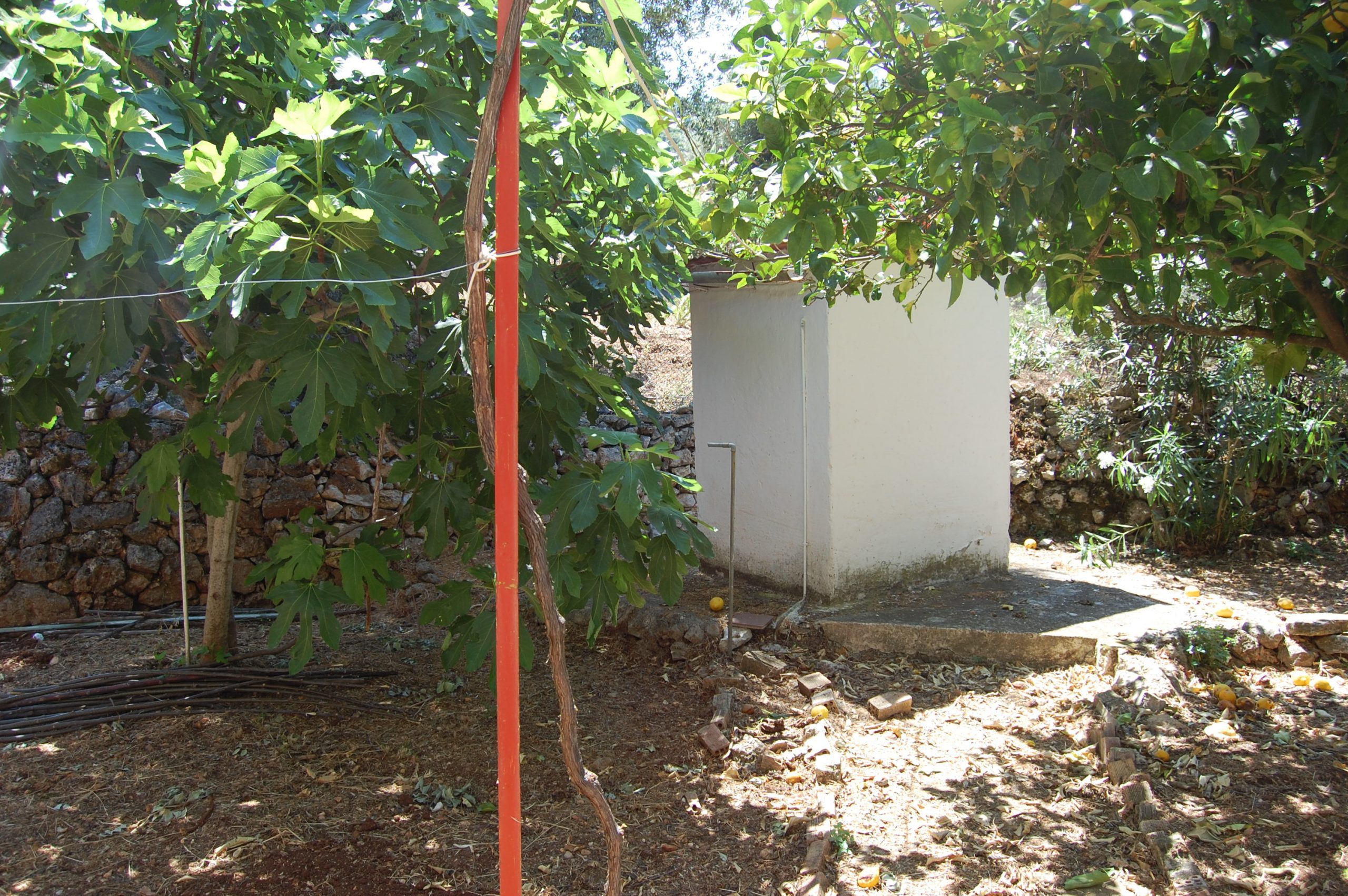 Garden of house for sale in Ithaca Greece, Lefki