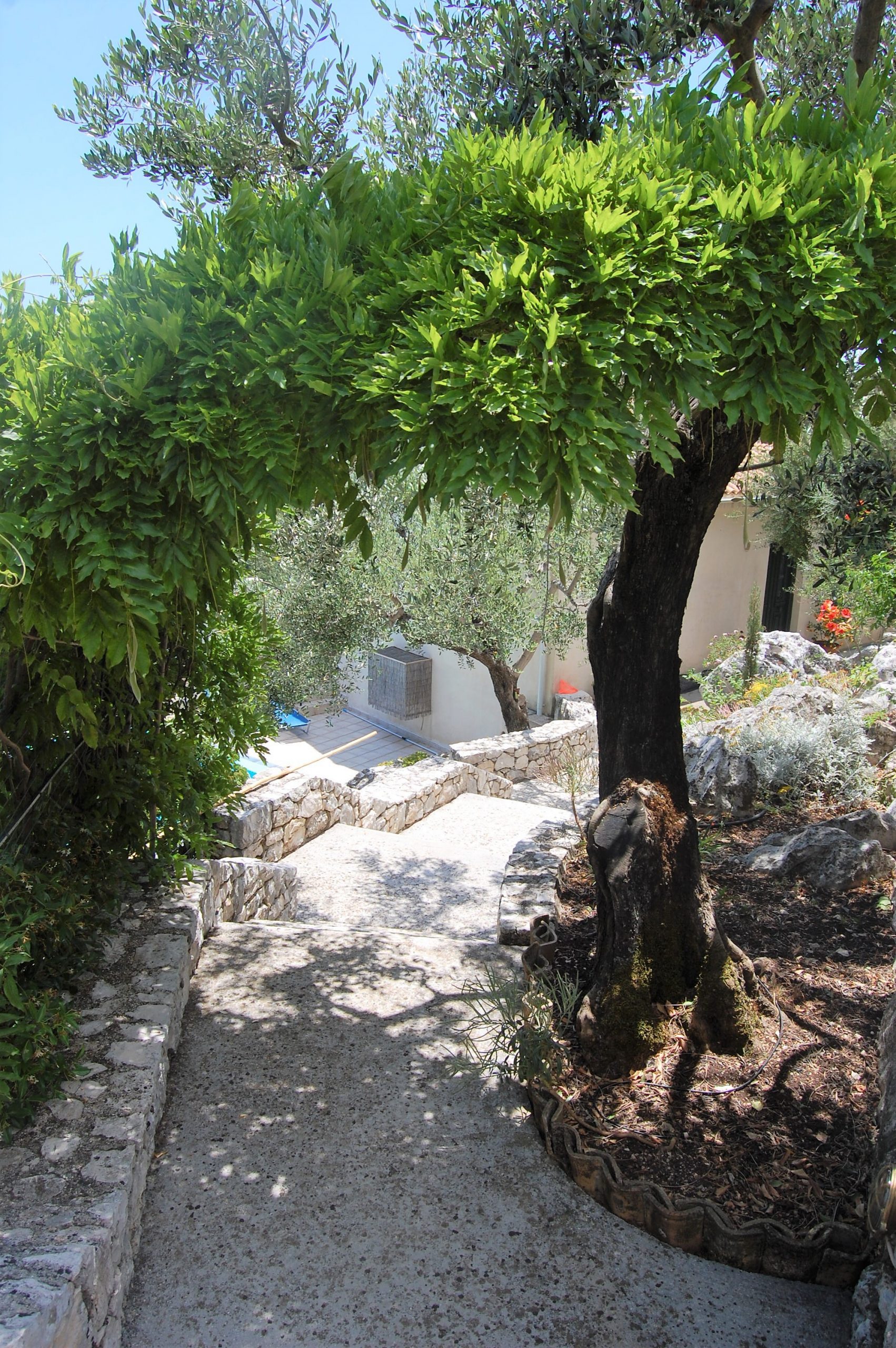 Stone pathway of house with pool for sale Ithaca Greece, Perachori