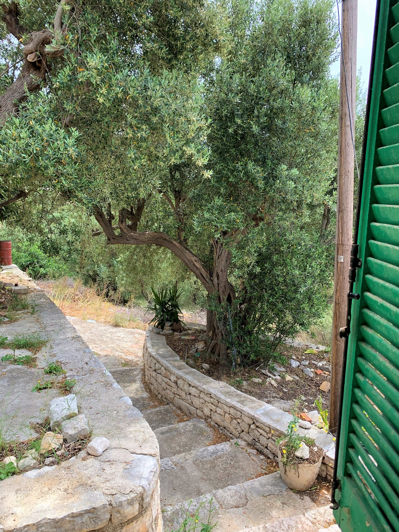 Window view of house for sale in Ithaca Greece Vathi