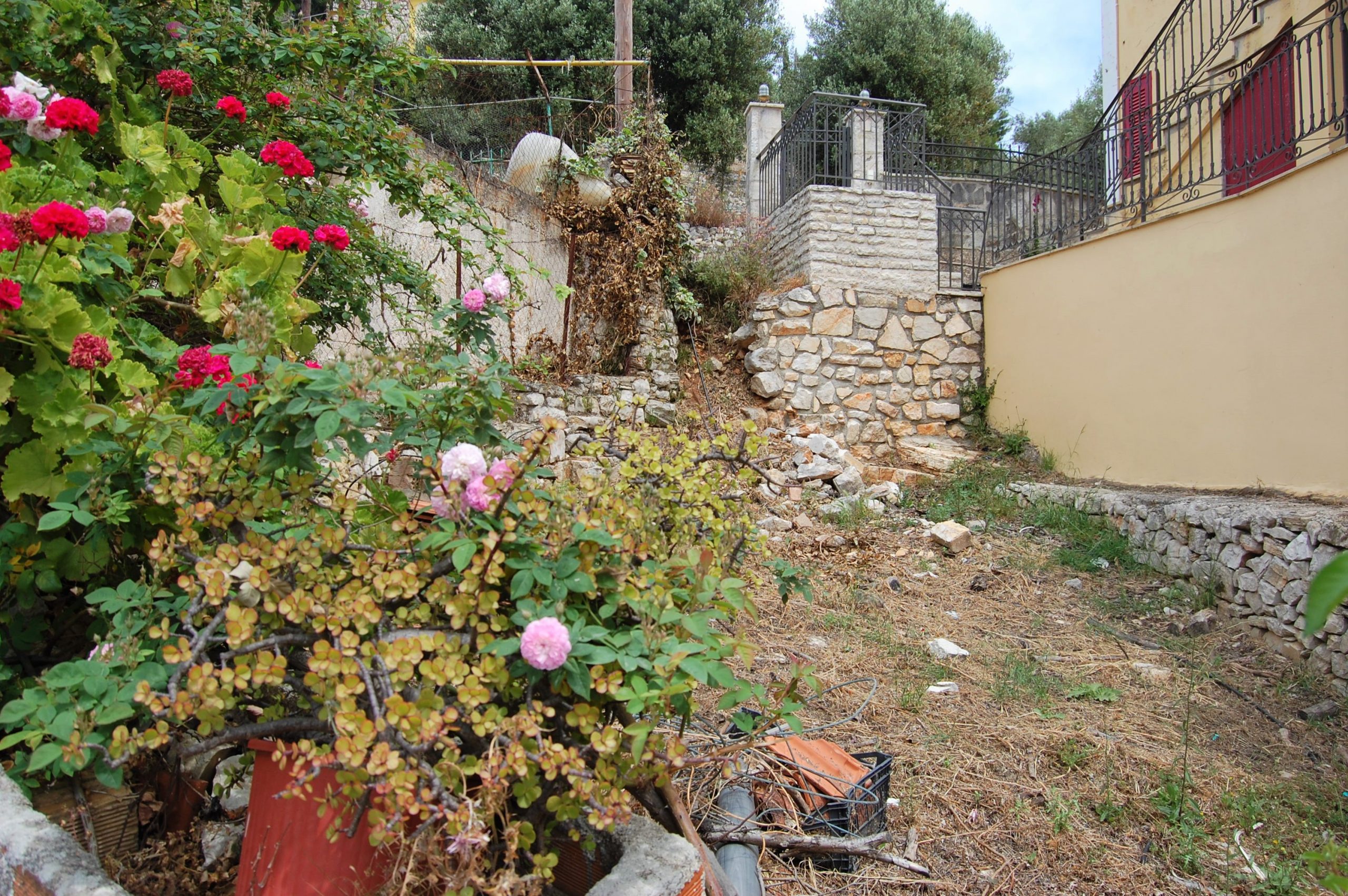 Garden of house for sale in Ithaca Greece Vathi