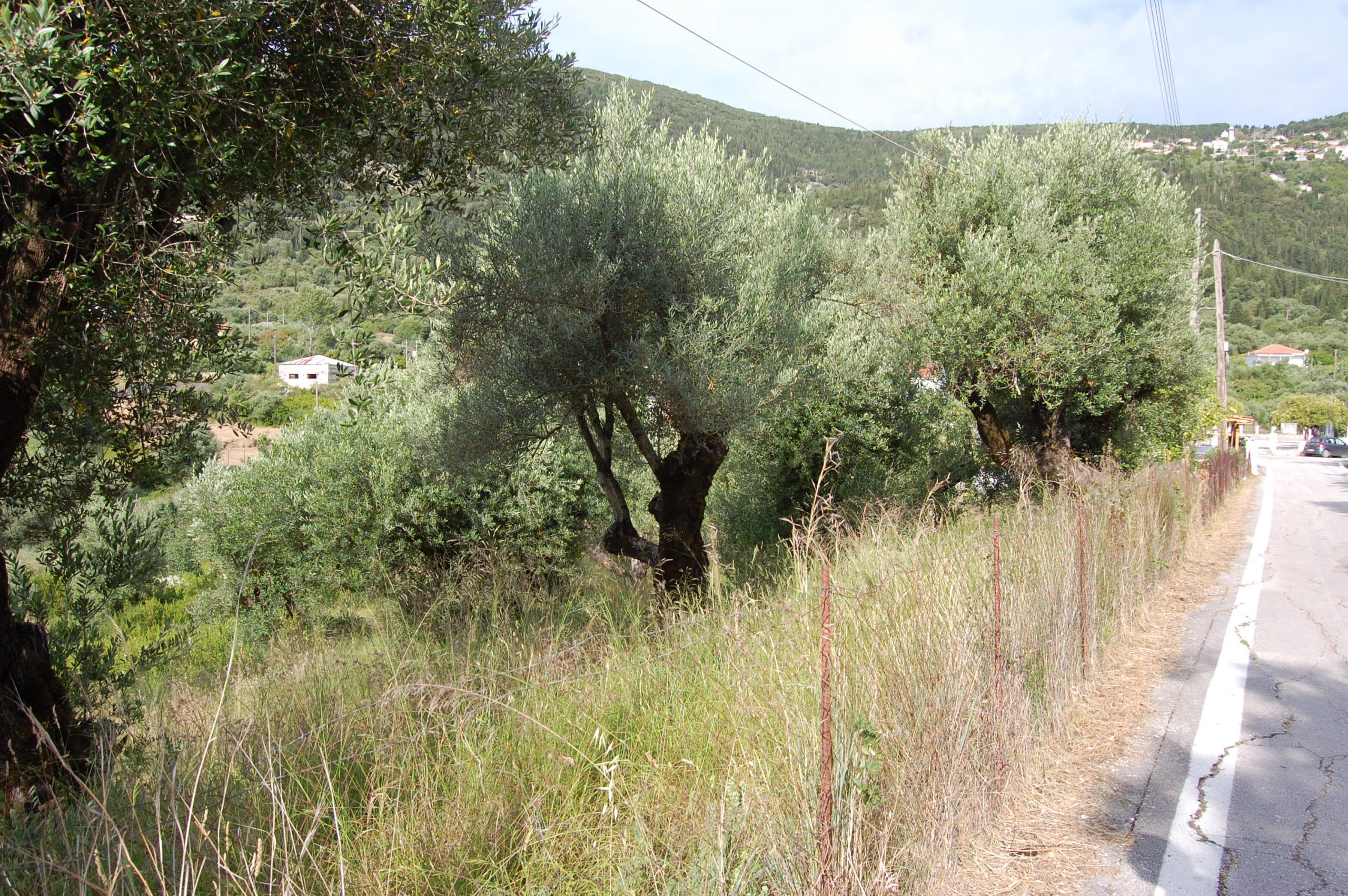 Landscape view and terrain of property for sale in Ithaca Greece Platrithya village