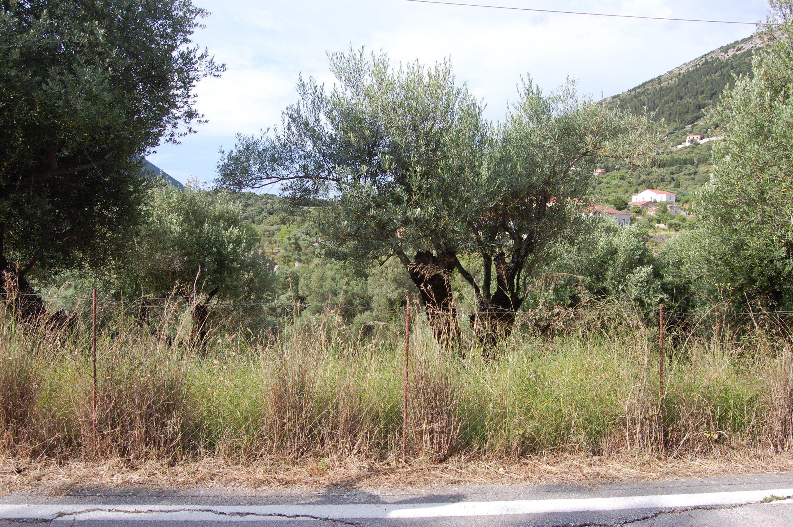 Landscape view and terrain of property for sale in Ithaca Greece Platrithya village