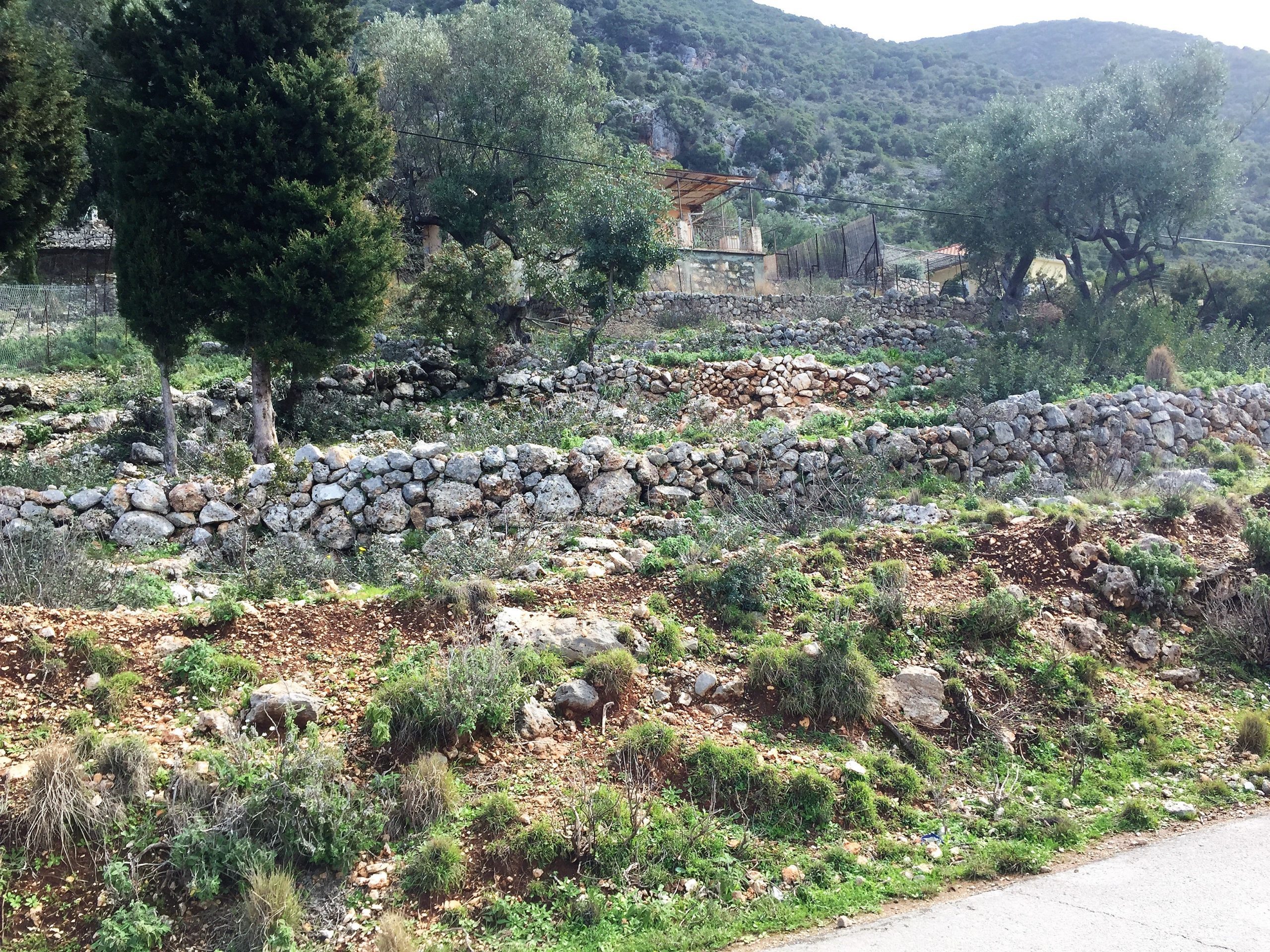 Terrain of property for sale on Ithaca Greece