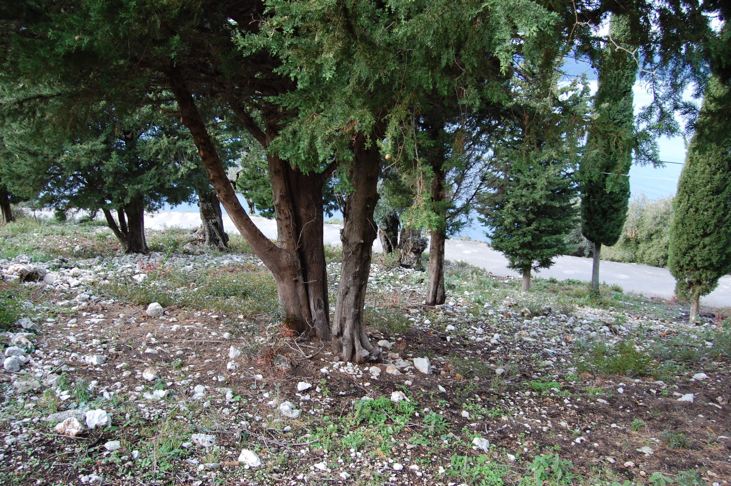Terrain of property for sale on Ithaca Greece