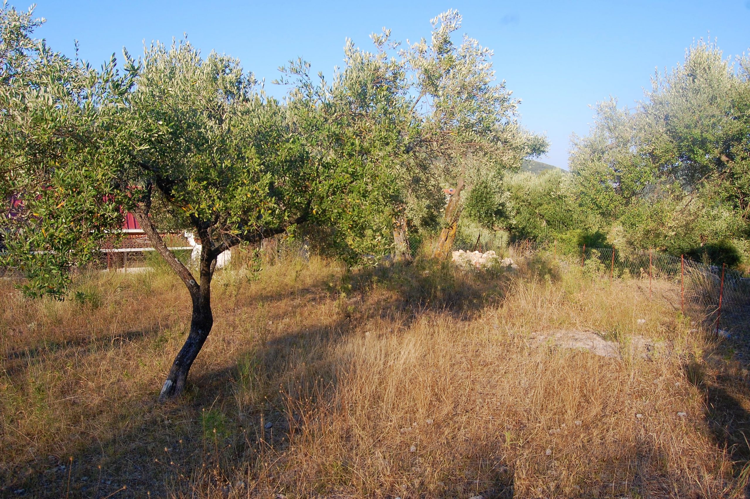 Terraced landscape of house for sale in Ithaca Greece, Kolleri