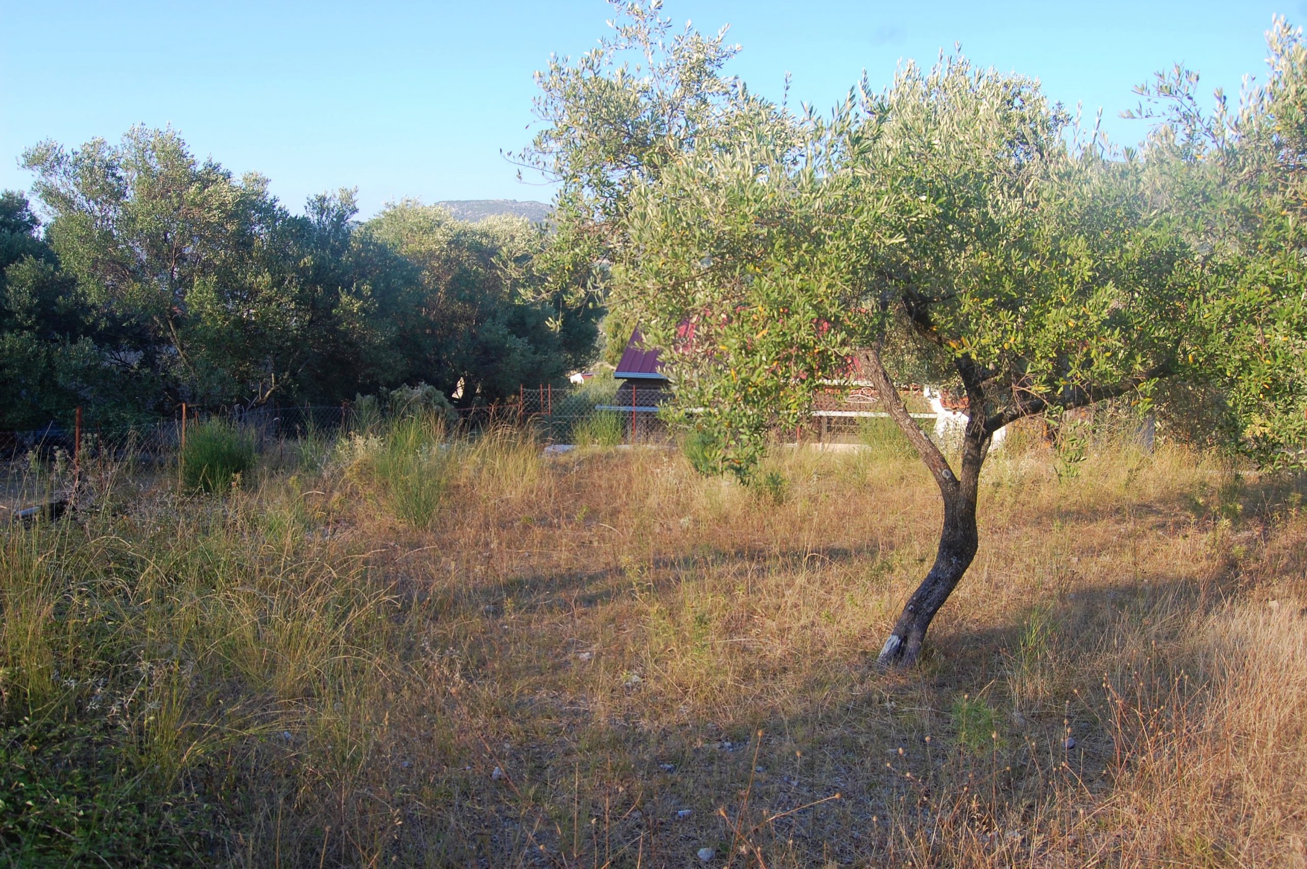 Terraced landscape of house for sale in Ithaca Greece, Kolleri