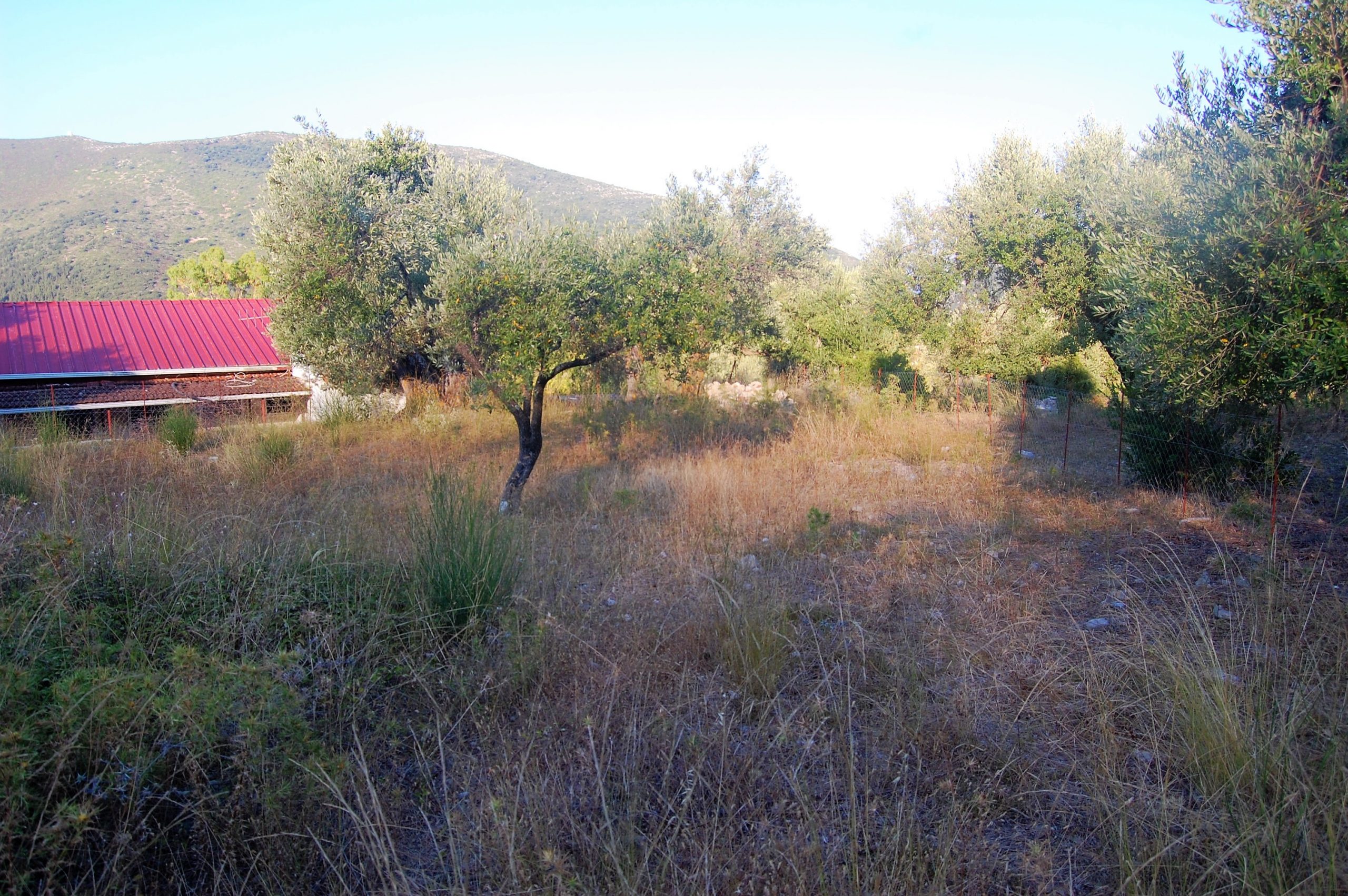Terraced landscape of house for sale in Ithaca Greece, Kolleri
