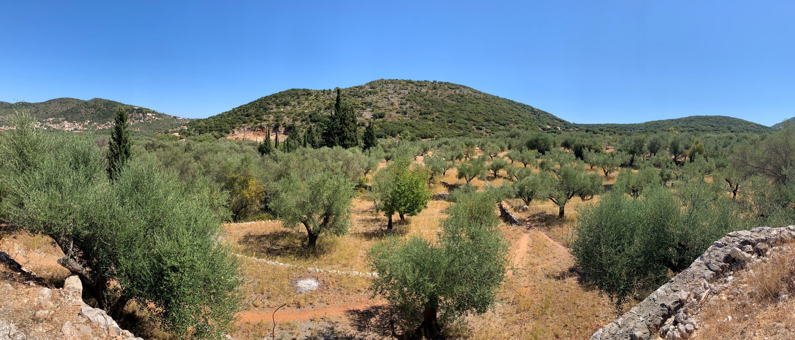 Landscape of terrain with terraces of land for sale in Ithaca Greece, Vathi