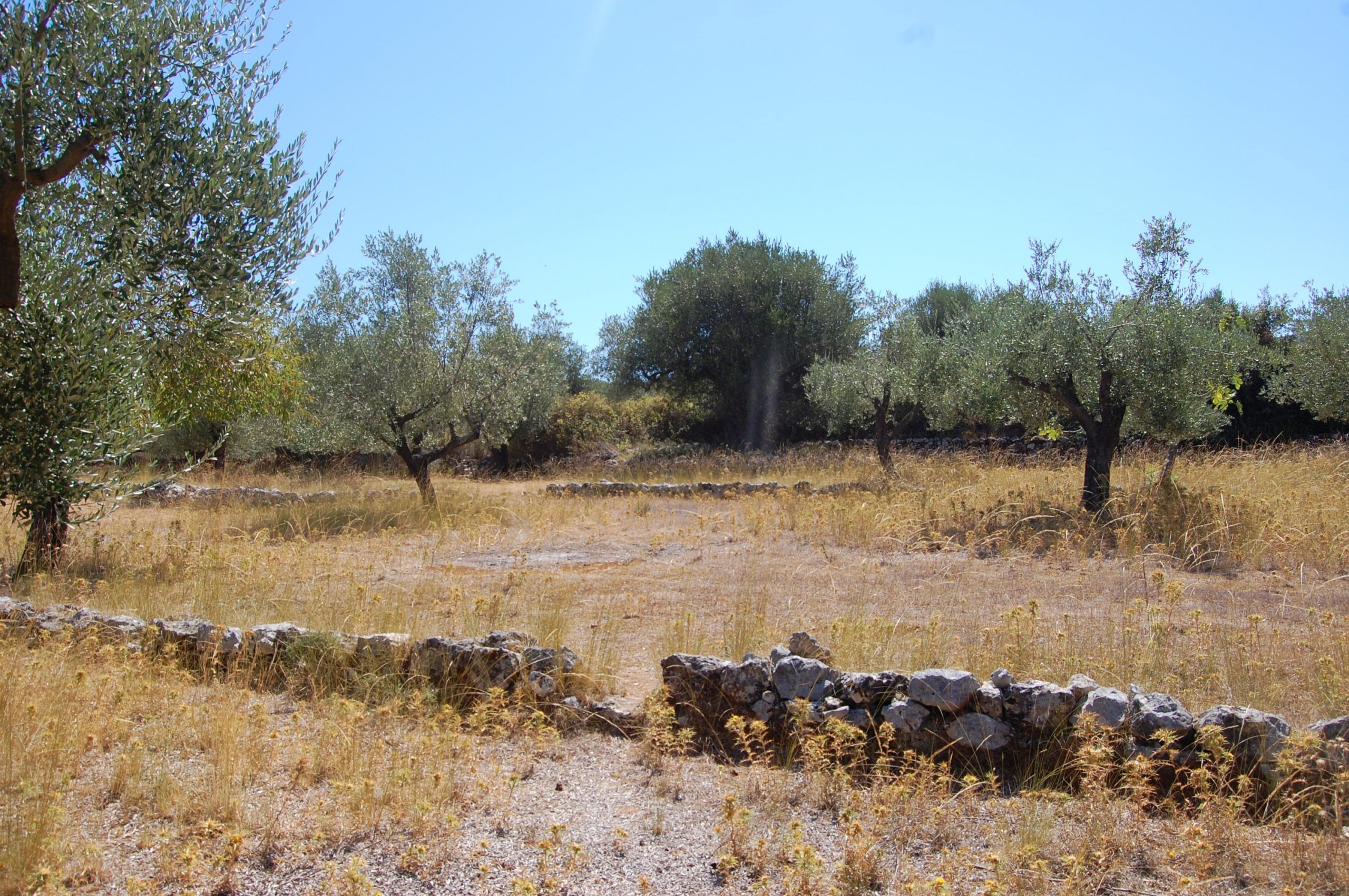 Landscape of terrain with terraces of land for sale in Ithaca Greece, Vathi