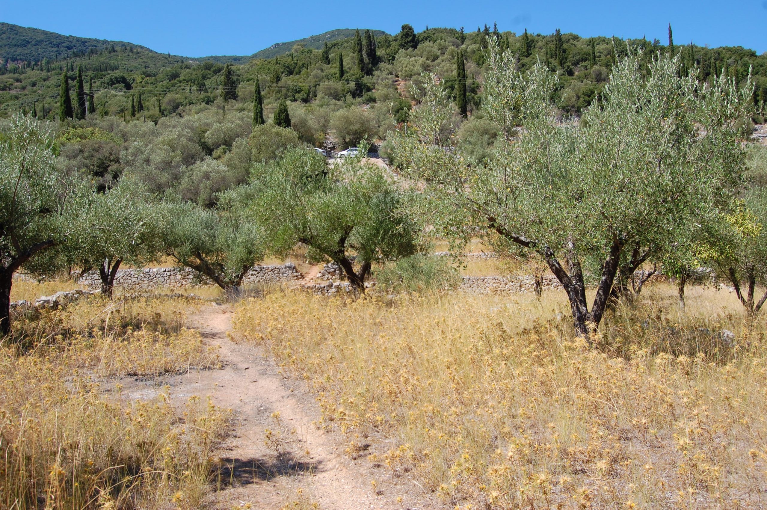 Landscape of terrain with terraces of land for sale in Ithaca Greece, Vathi