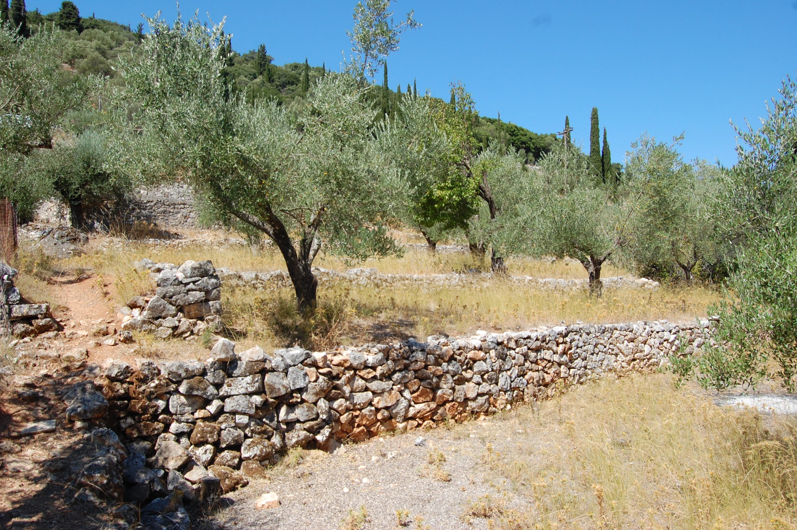 Landscape of terrain with terraces of land for sale in Ithaca Greece, Vathi