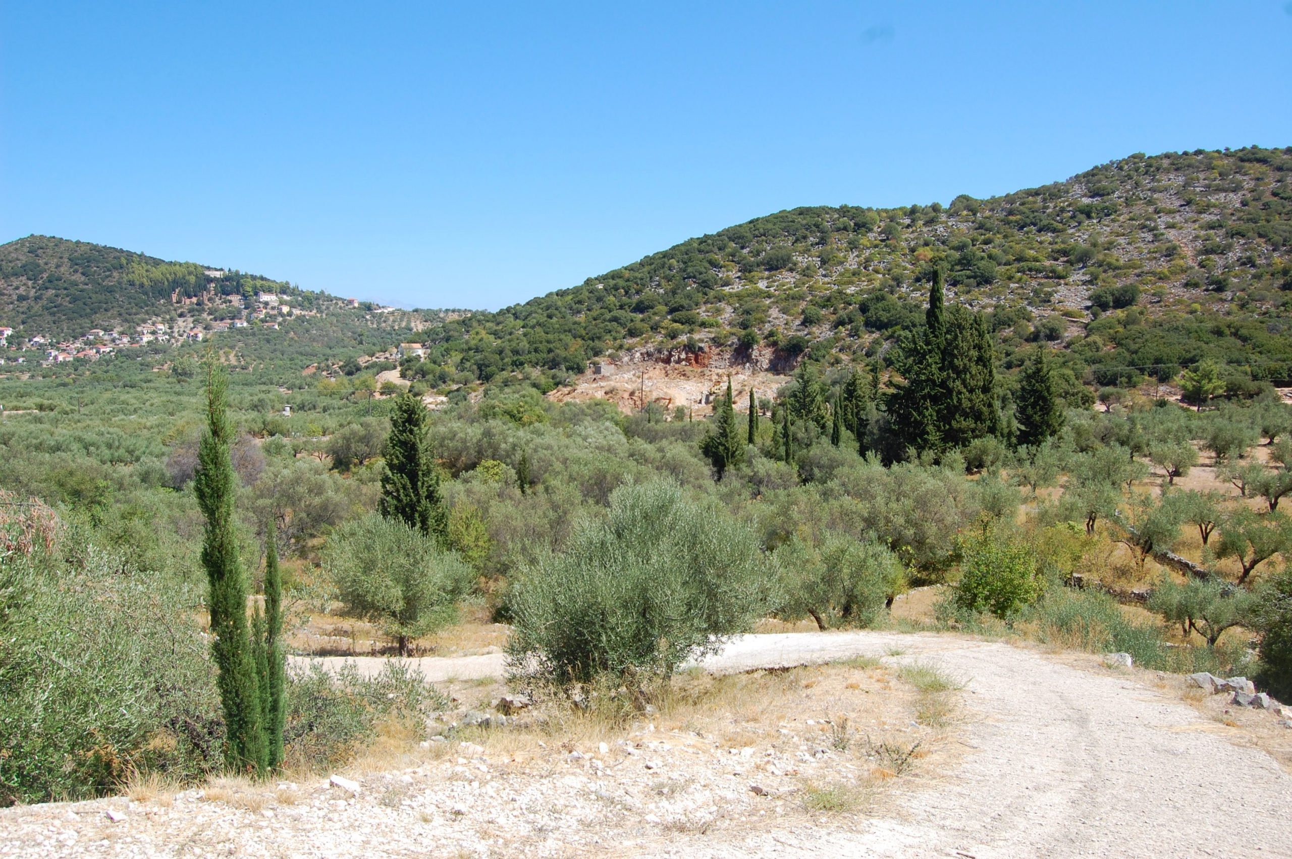 Landscape of terrain with olive groves of land for sale in Ithaca Greece, Vathi