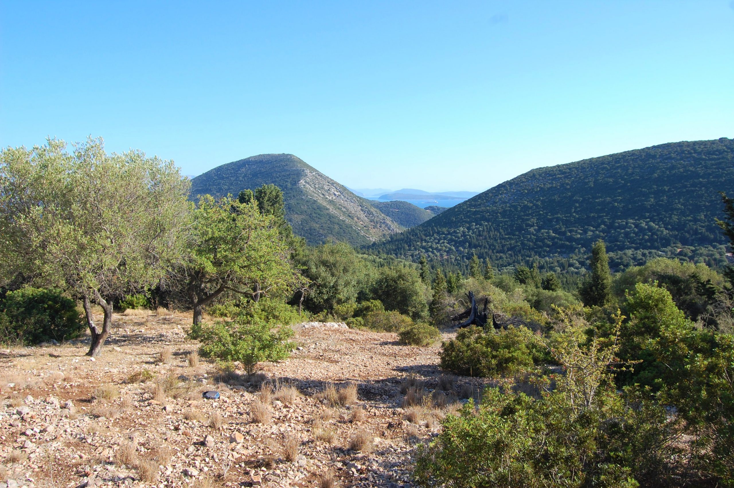 Terraced landscape an sea view from land for sale in Ithaca Greece, Stavros