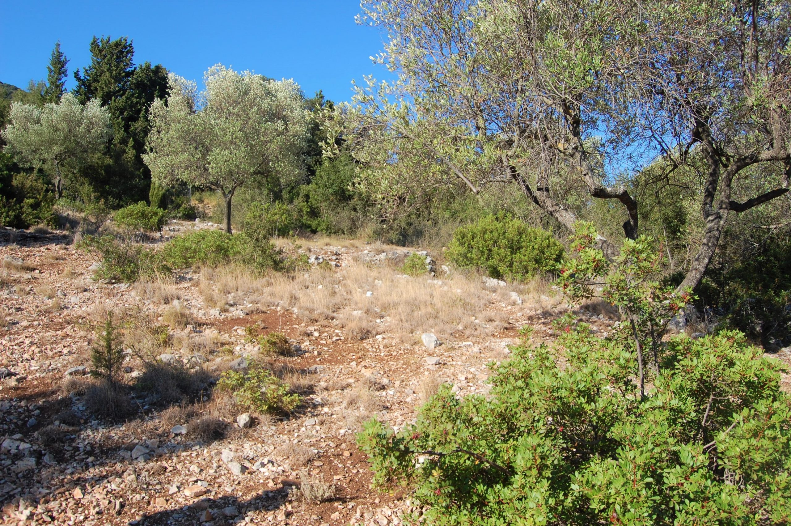 Terraced landscape of land for sale in Ithaca Greece, Stavros