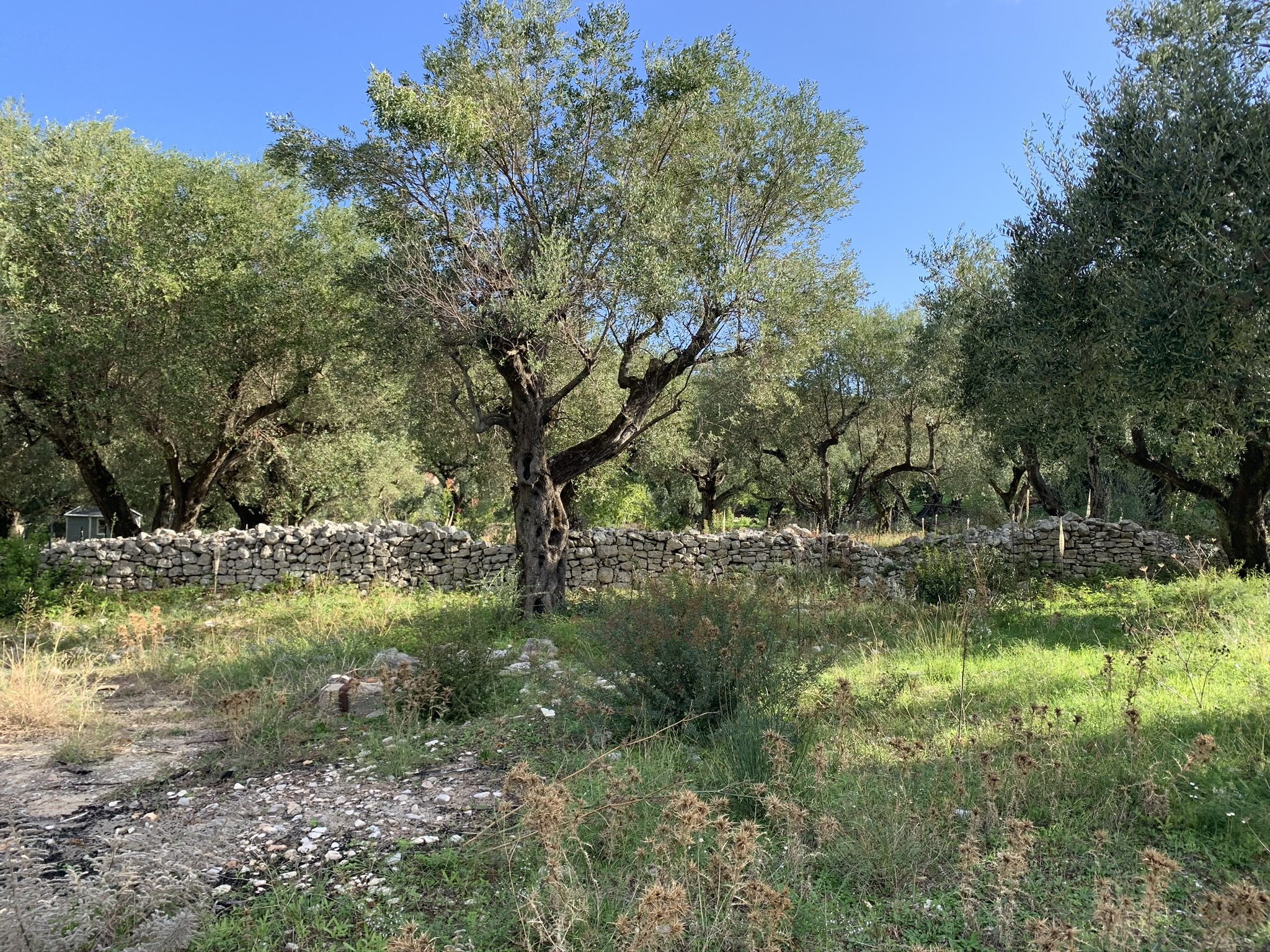 Landscape terrain of land for sale Ithaca Greece Kioni