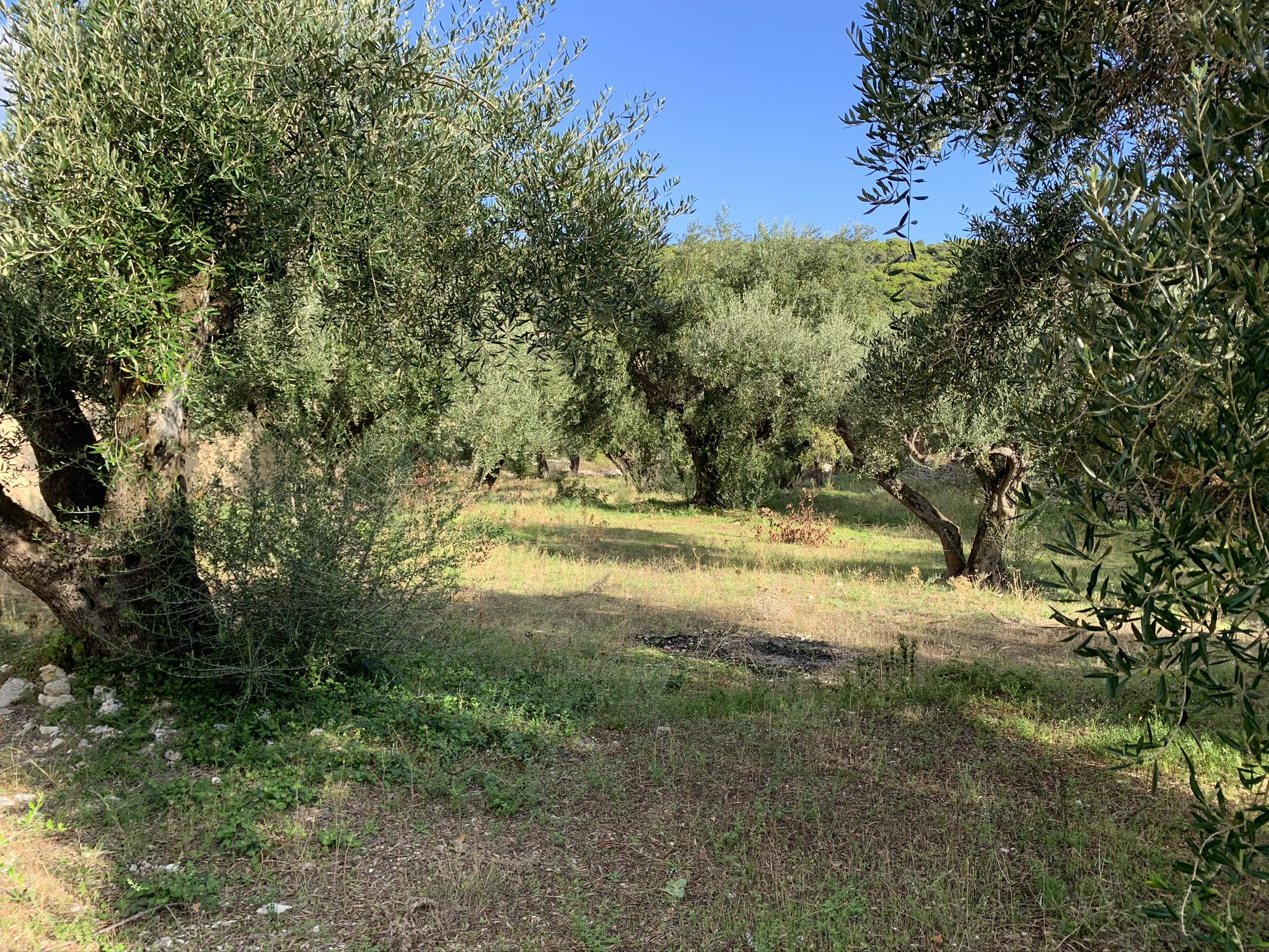 Landscape terrain of land for sale Ithaca Greece Kioni