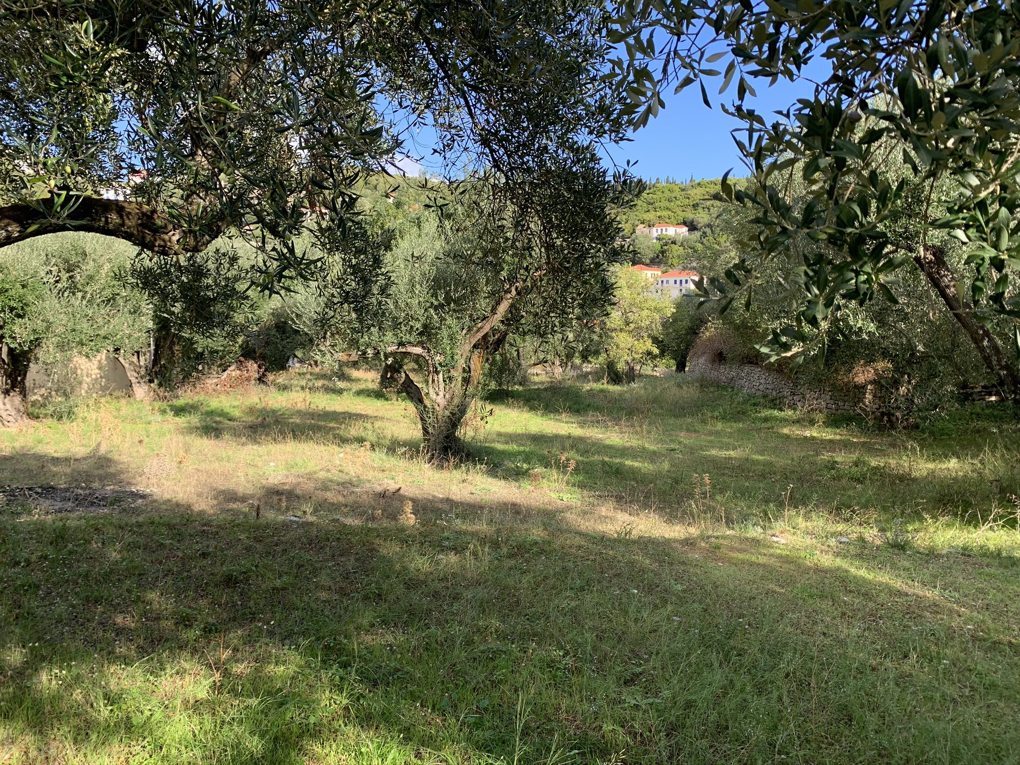 Landscape terrain of land for sale Ithaca Greece Kioni