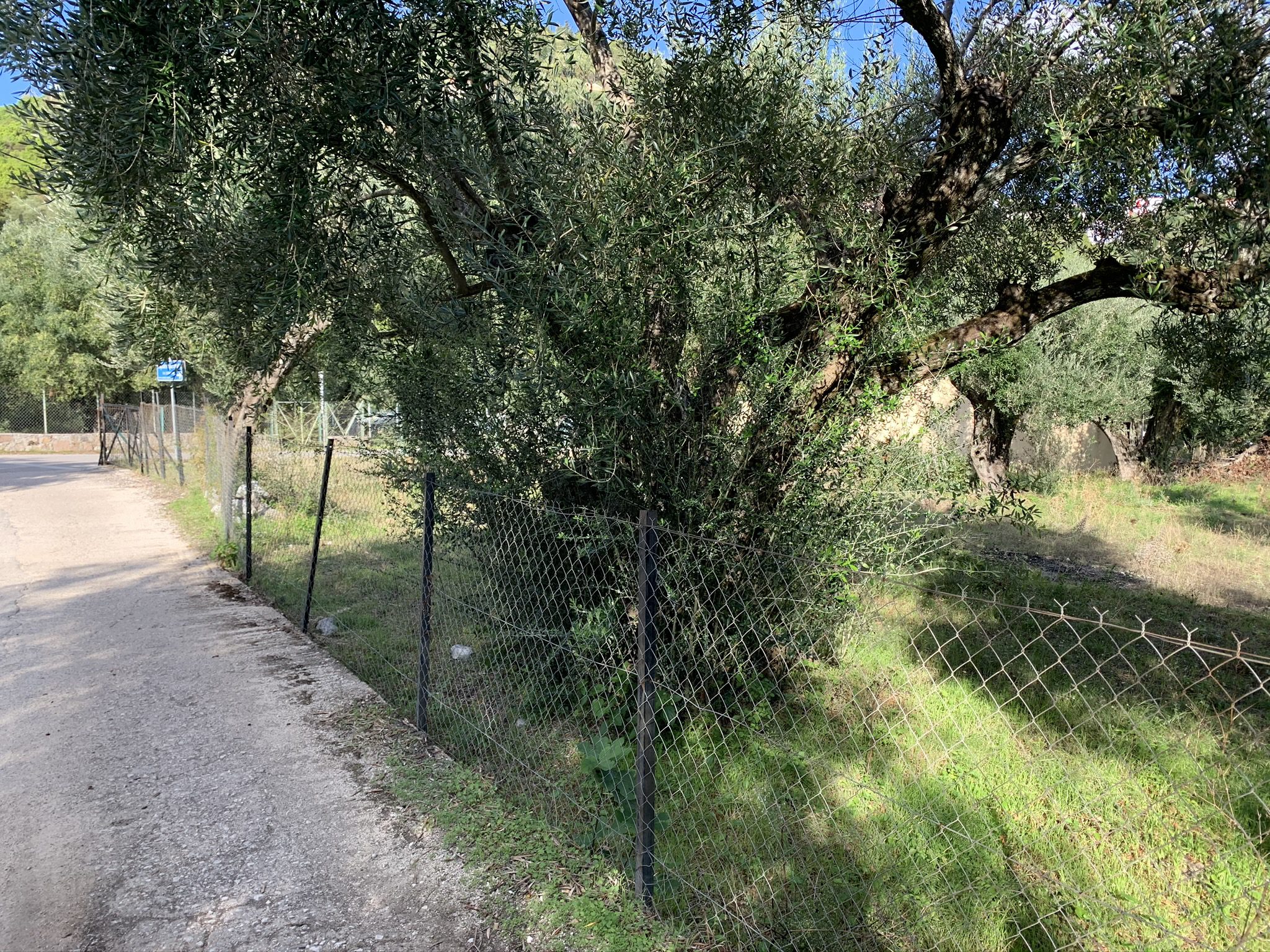 Landscape terrain of land for sale Ithaca Greece Kioni